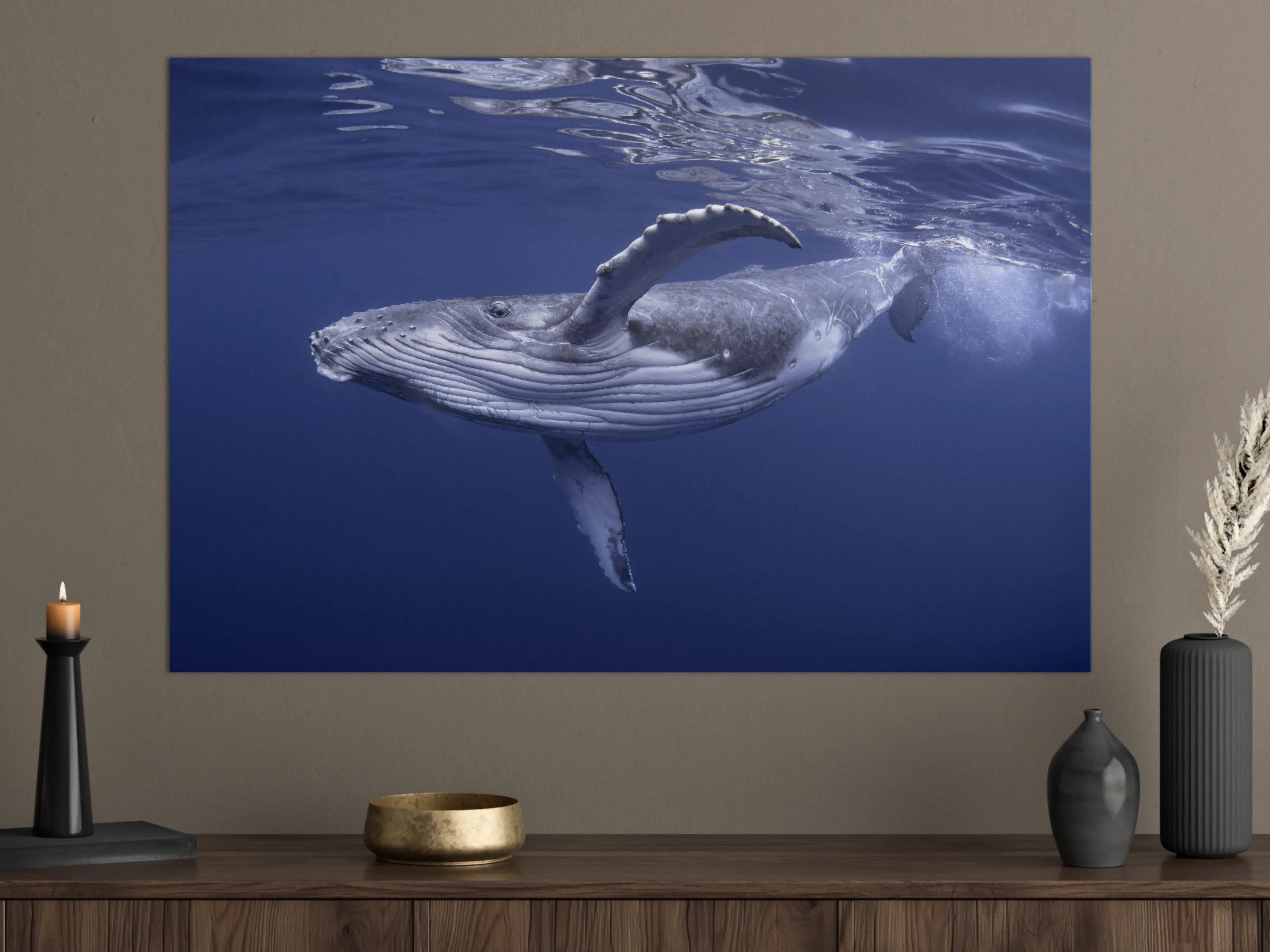 Große Wandbilder - Baby-Buckelwal-Kalb im blauen Wasser
