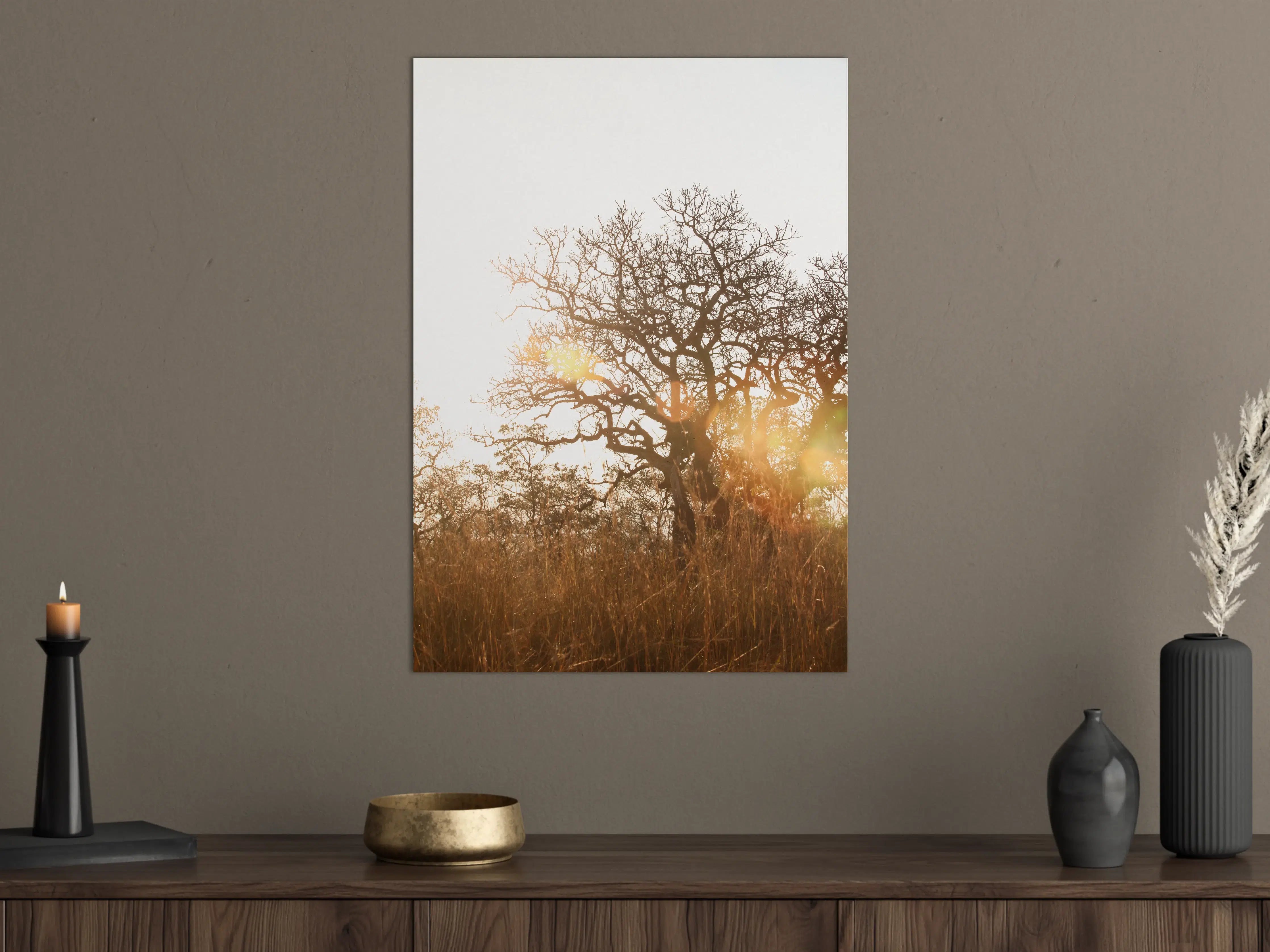 Große Wandbilder - Baum im Feld