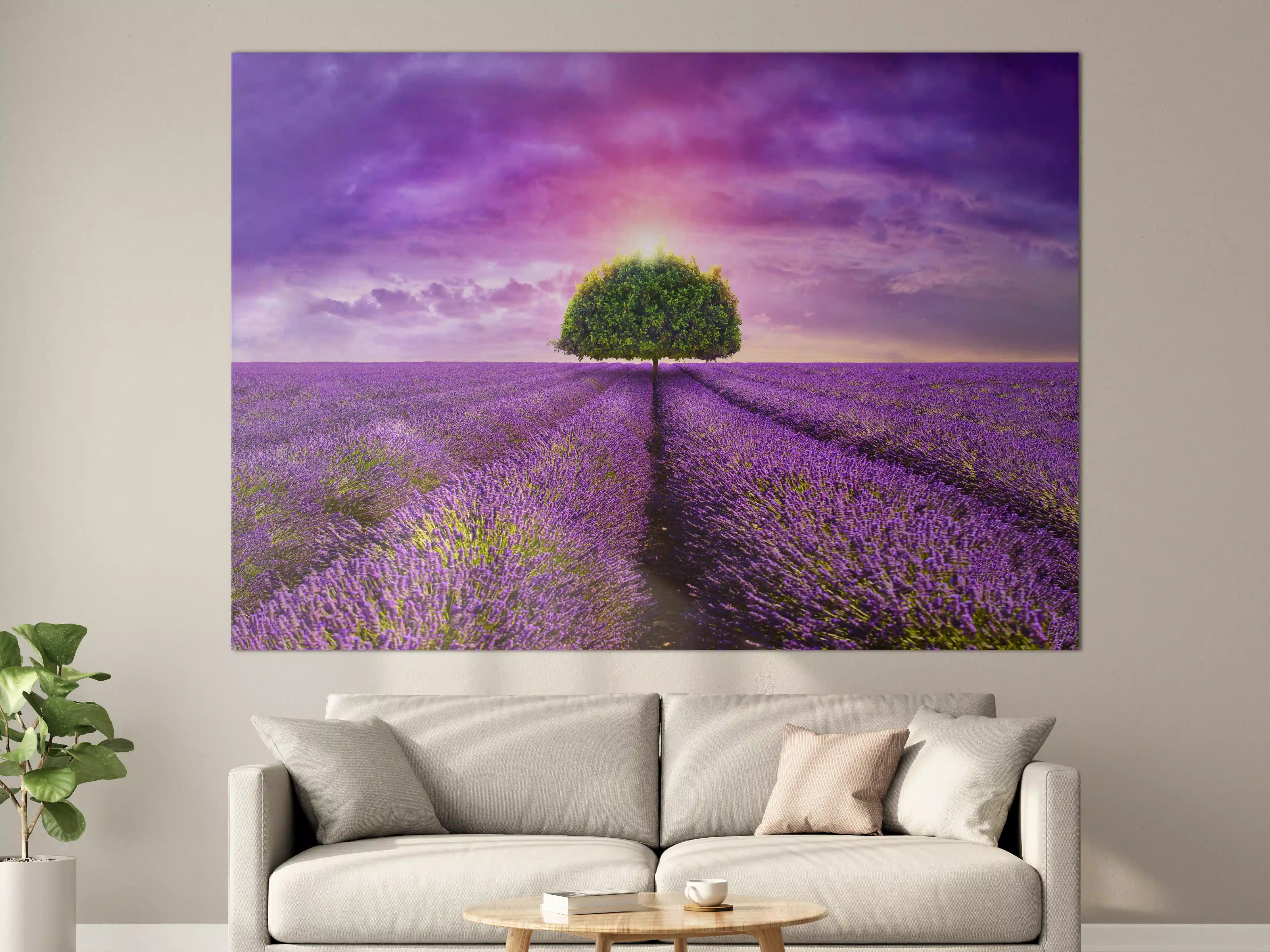 Große Wandbilder - Baum im schönen lavendel Feld