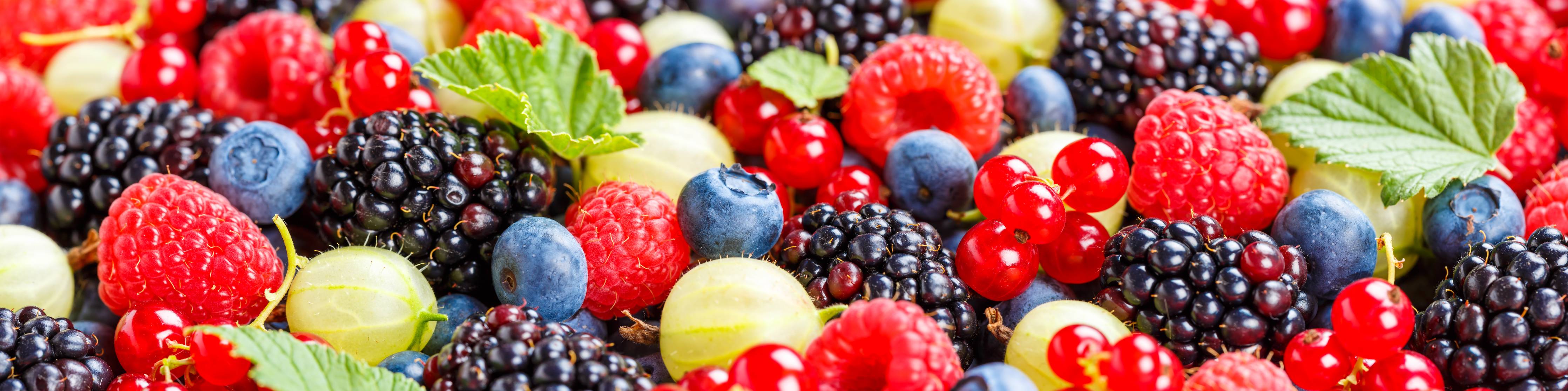 Große Wandbilder-Beerenmischung