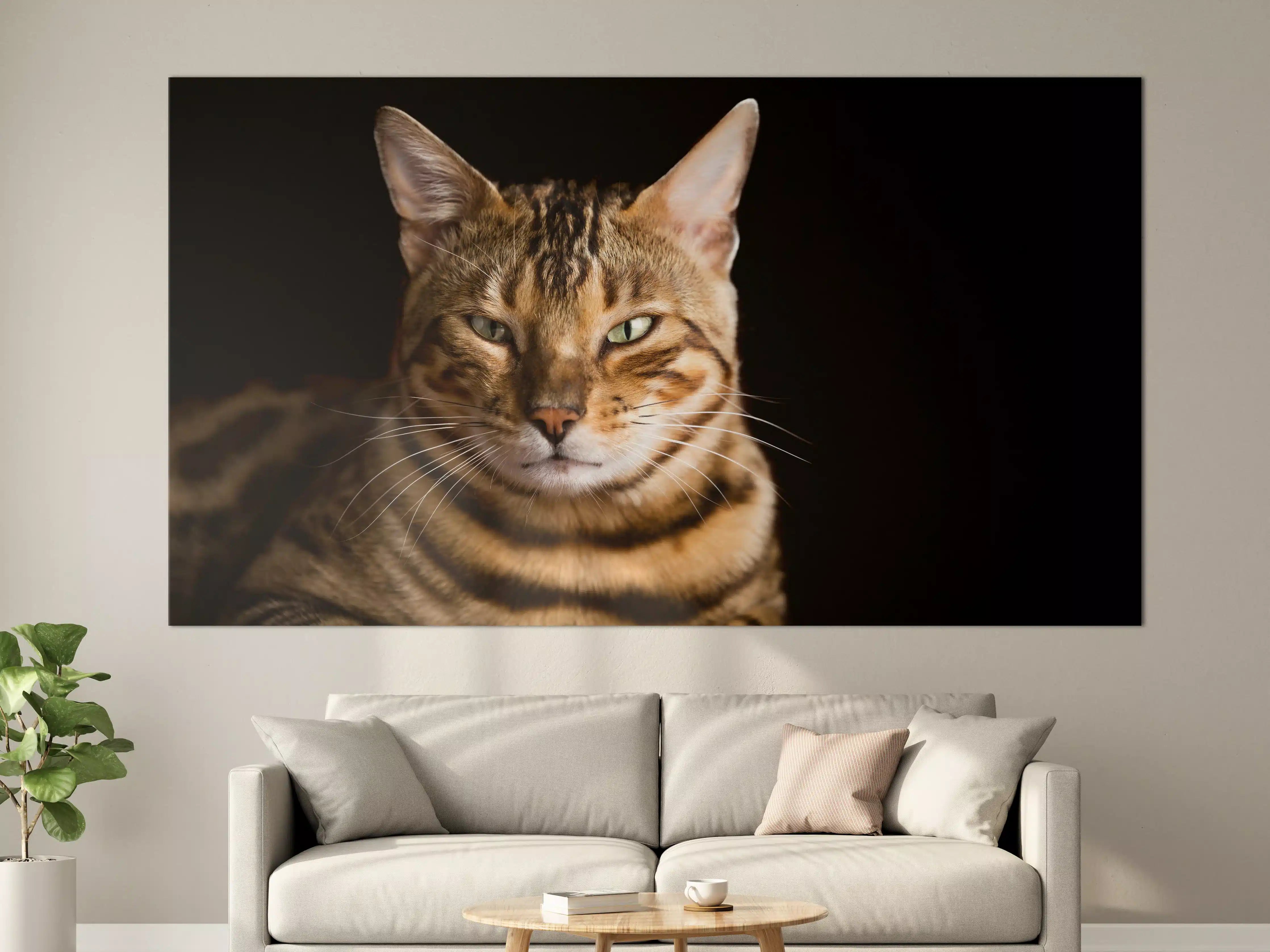 Große Wandbilder - Bengalkatze Portrait