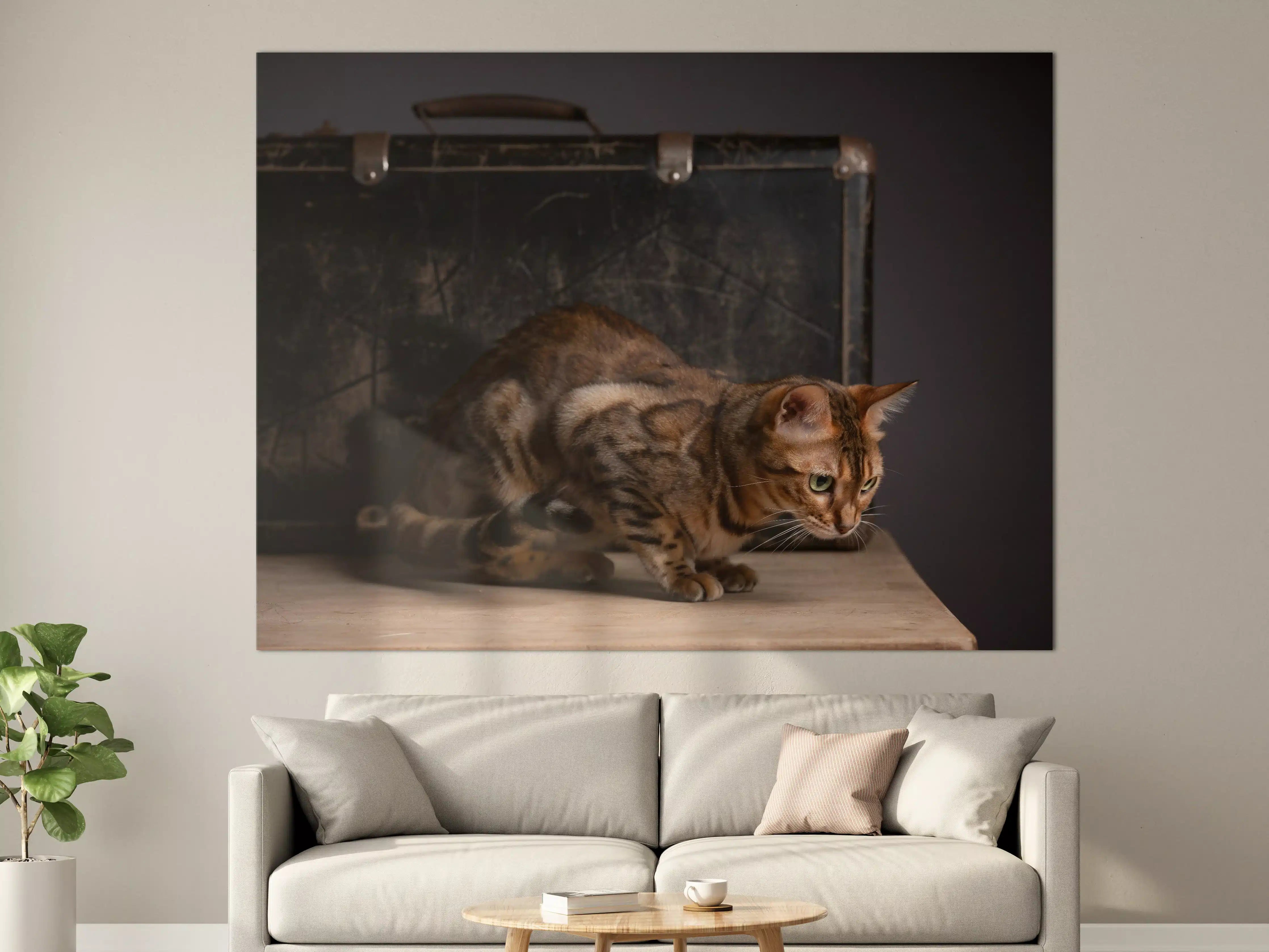 Große Wandbilder - Bengalkatze auf Holztisch