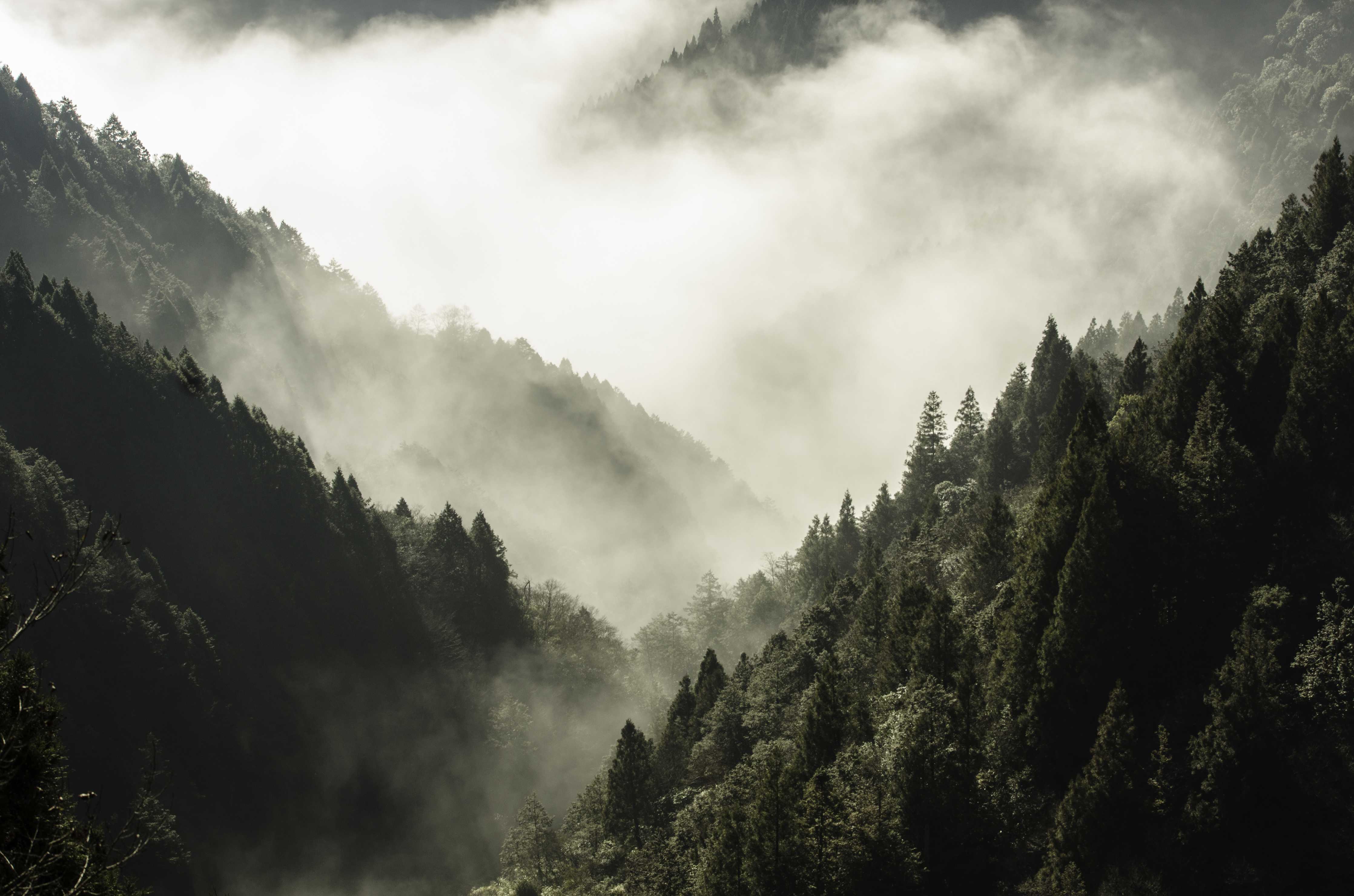 Große Wandbilder-Berg bedeckt in Nebel und Wolken