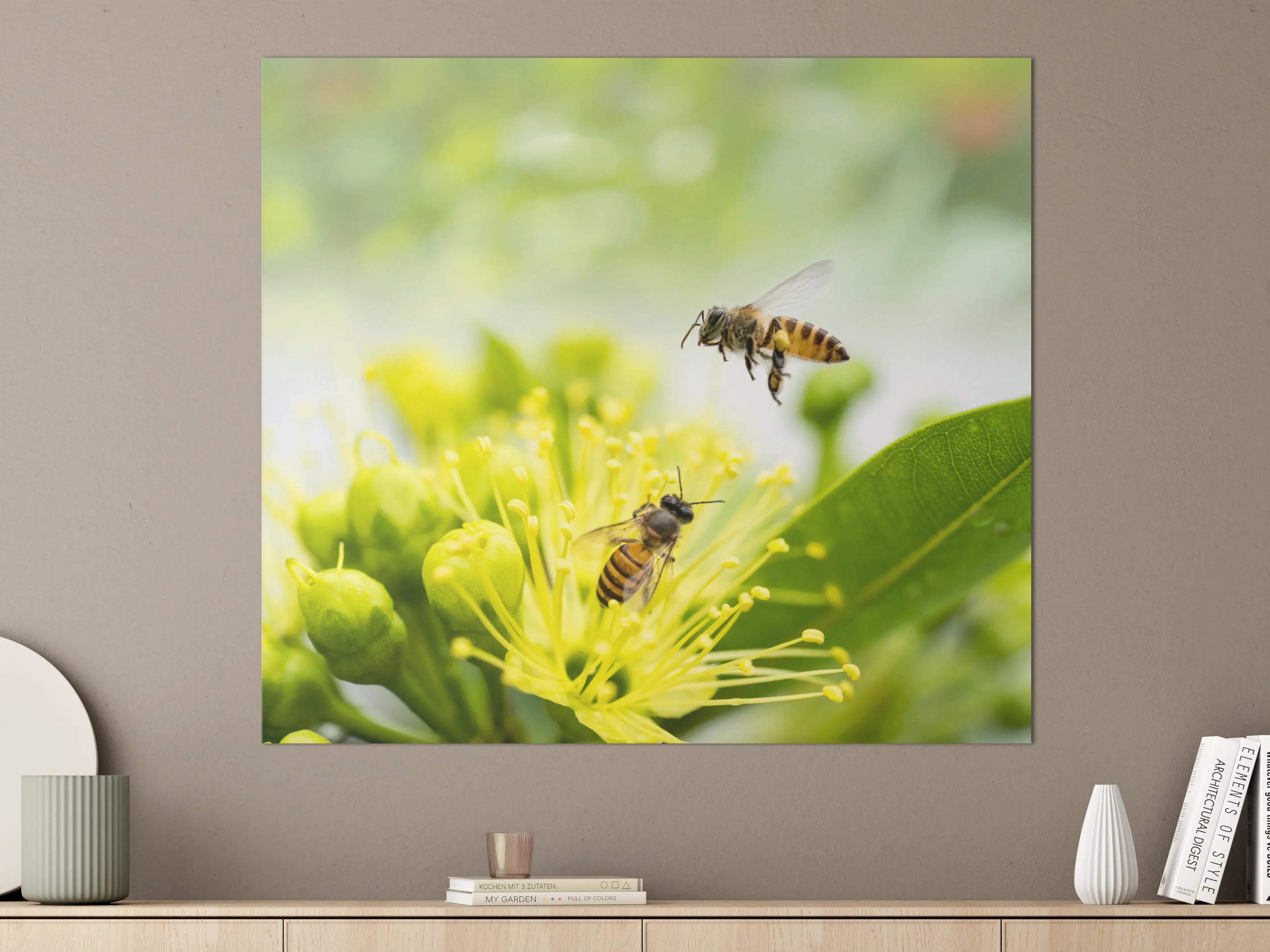 Große Wandbilder - Biene sammelt Pollen an einer Blüte