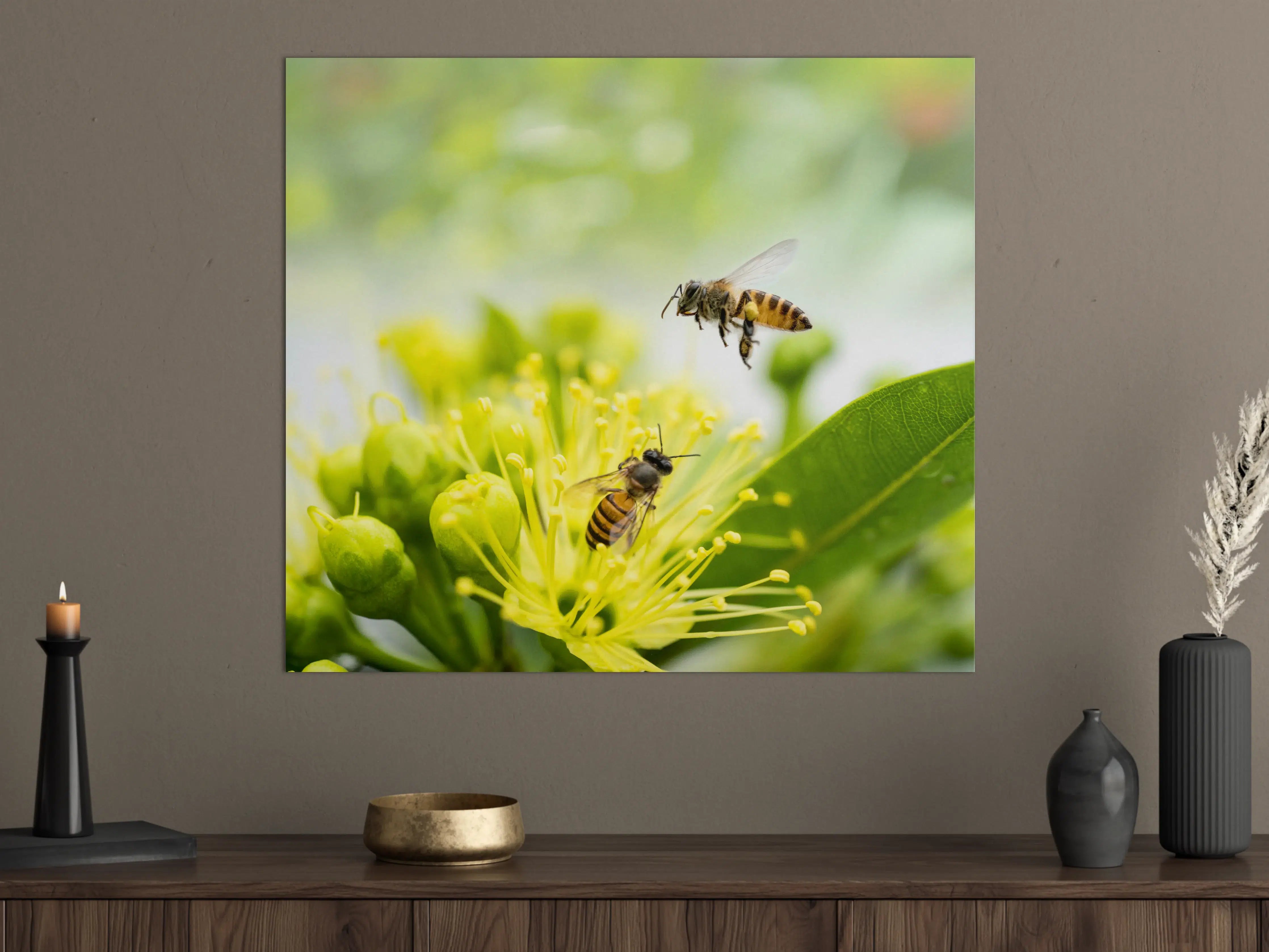 Große Wandbilder - Biene sammelt Pollen an einer Blüte