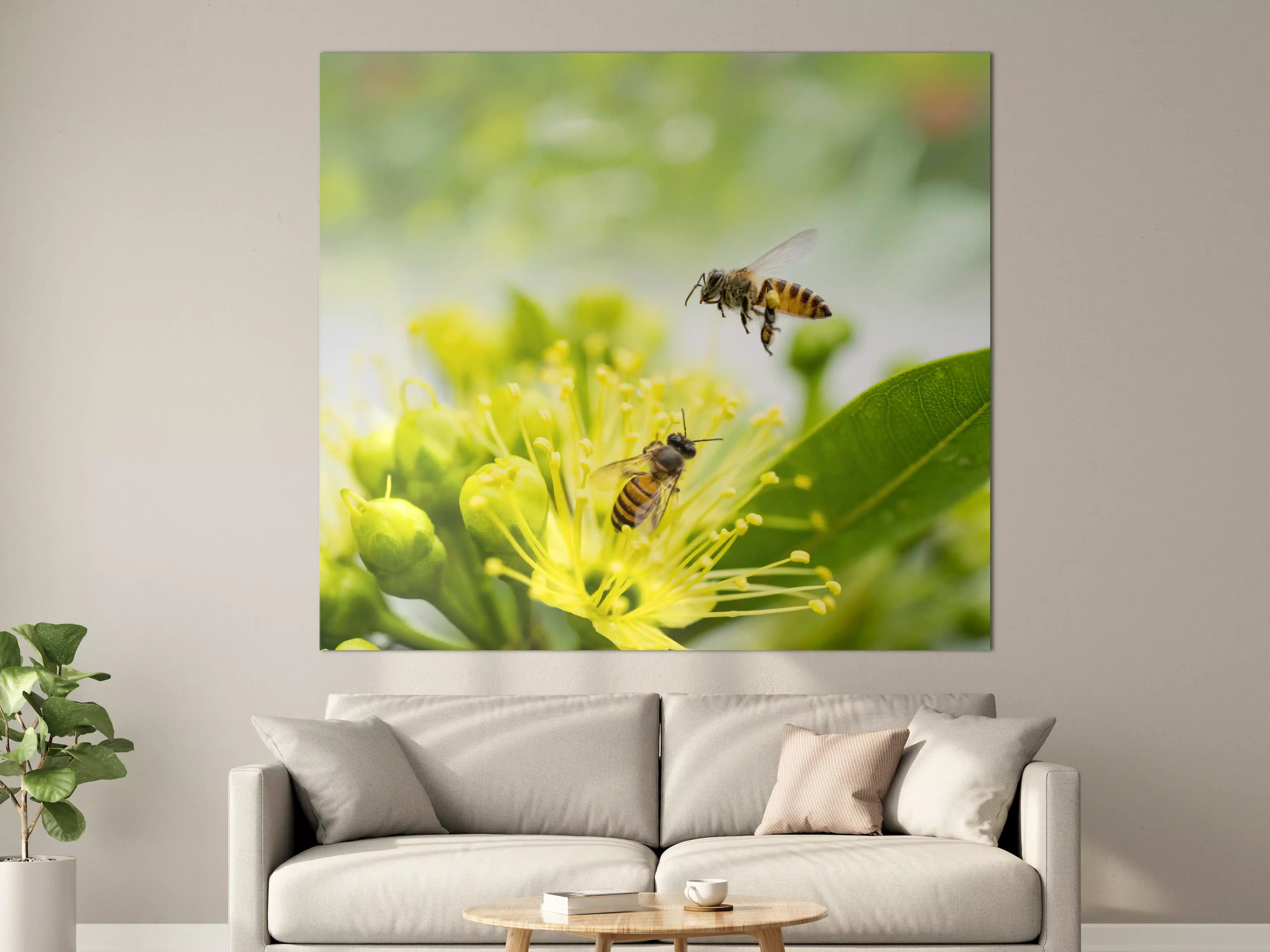 Große Wandbilder - Biene sammelt Pollen an einer Blüte