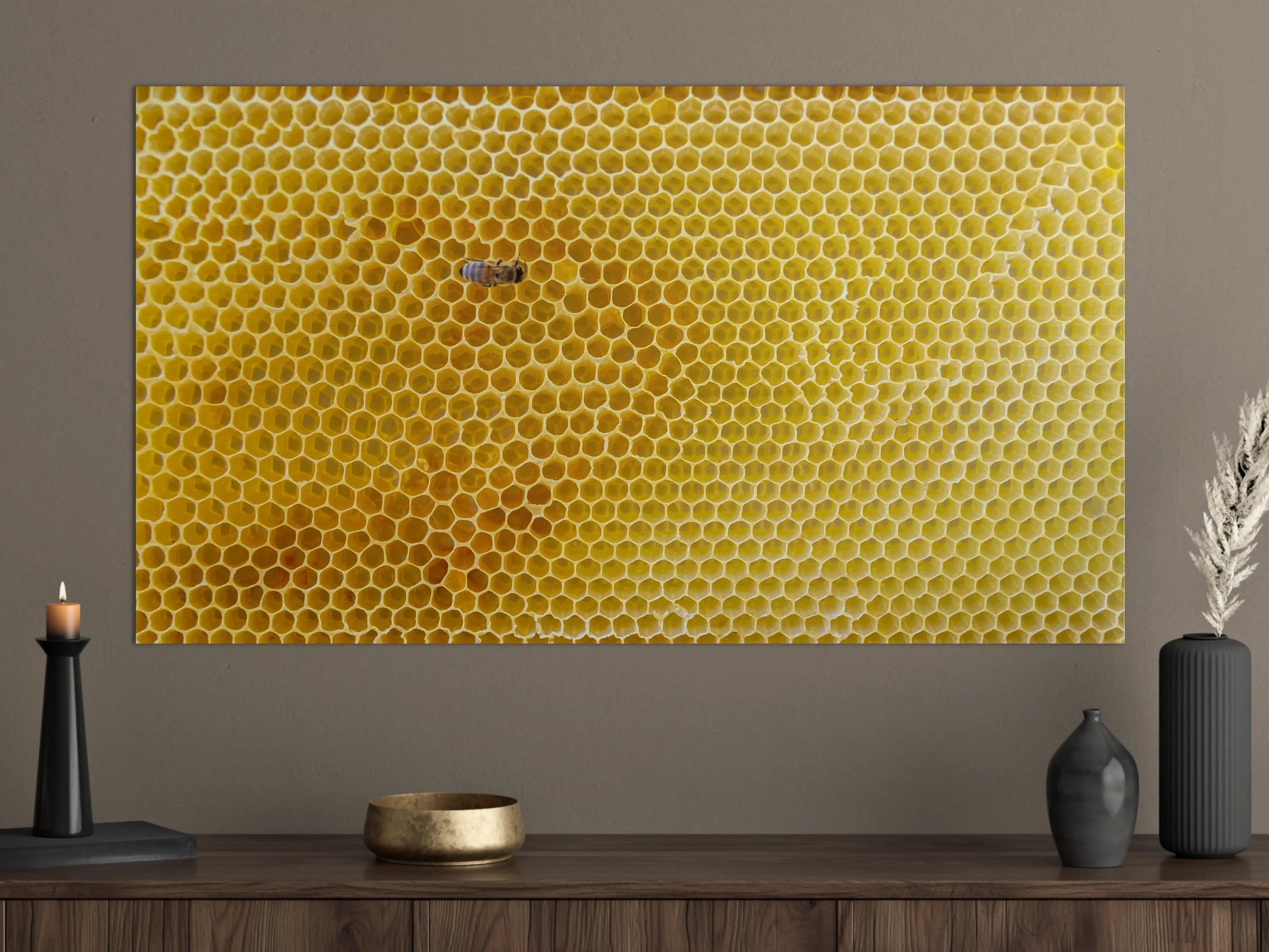 Große Wandbilder - Bienensammler auf Honigwabe