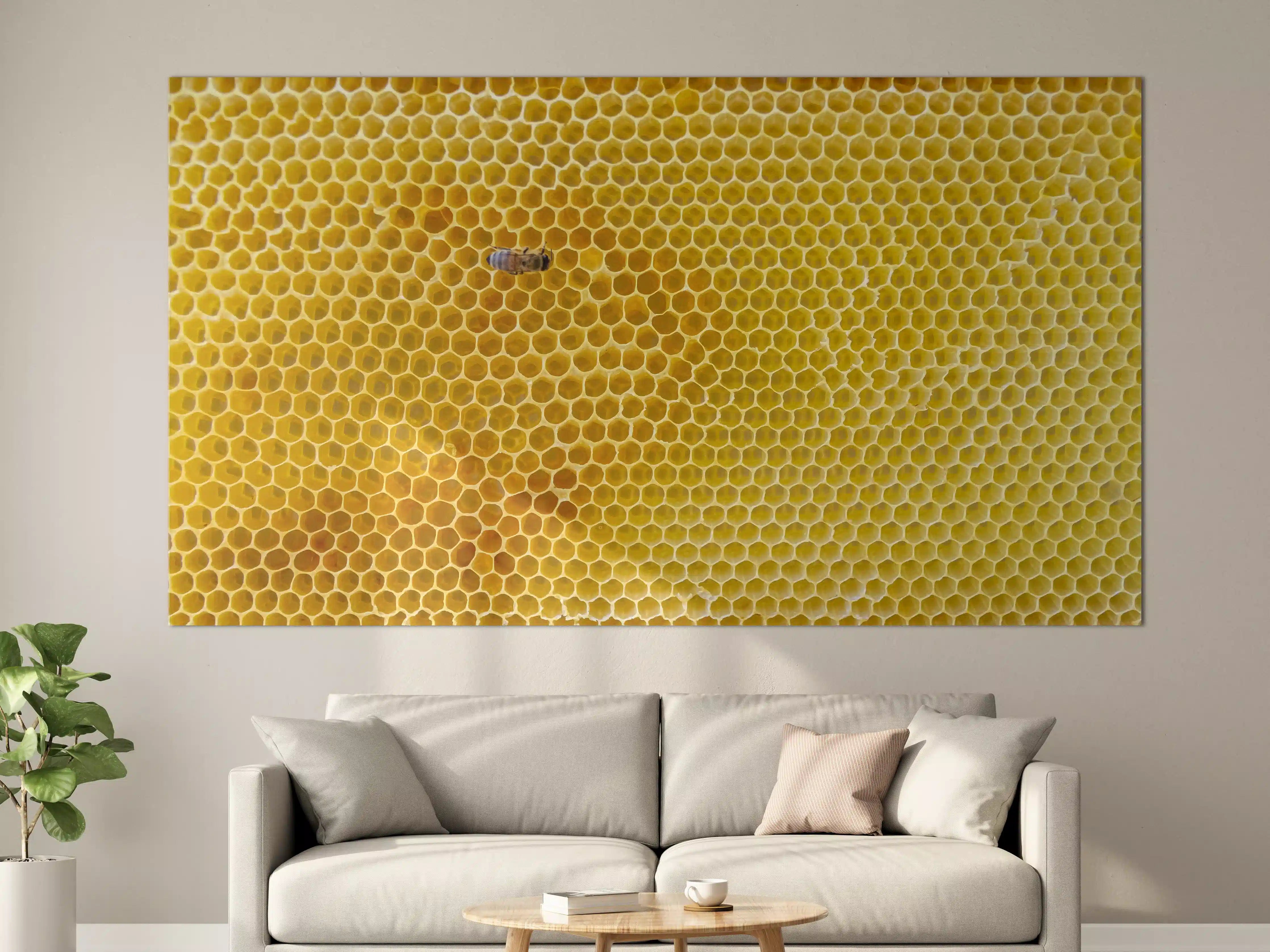 Große Wandbilder - Bienensammler auf Honigwabe