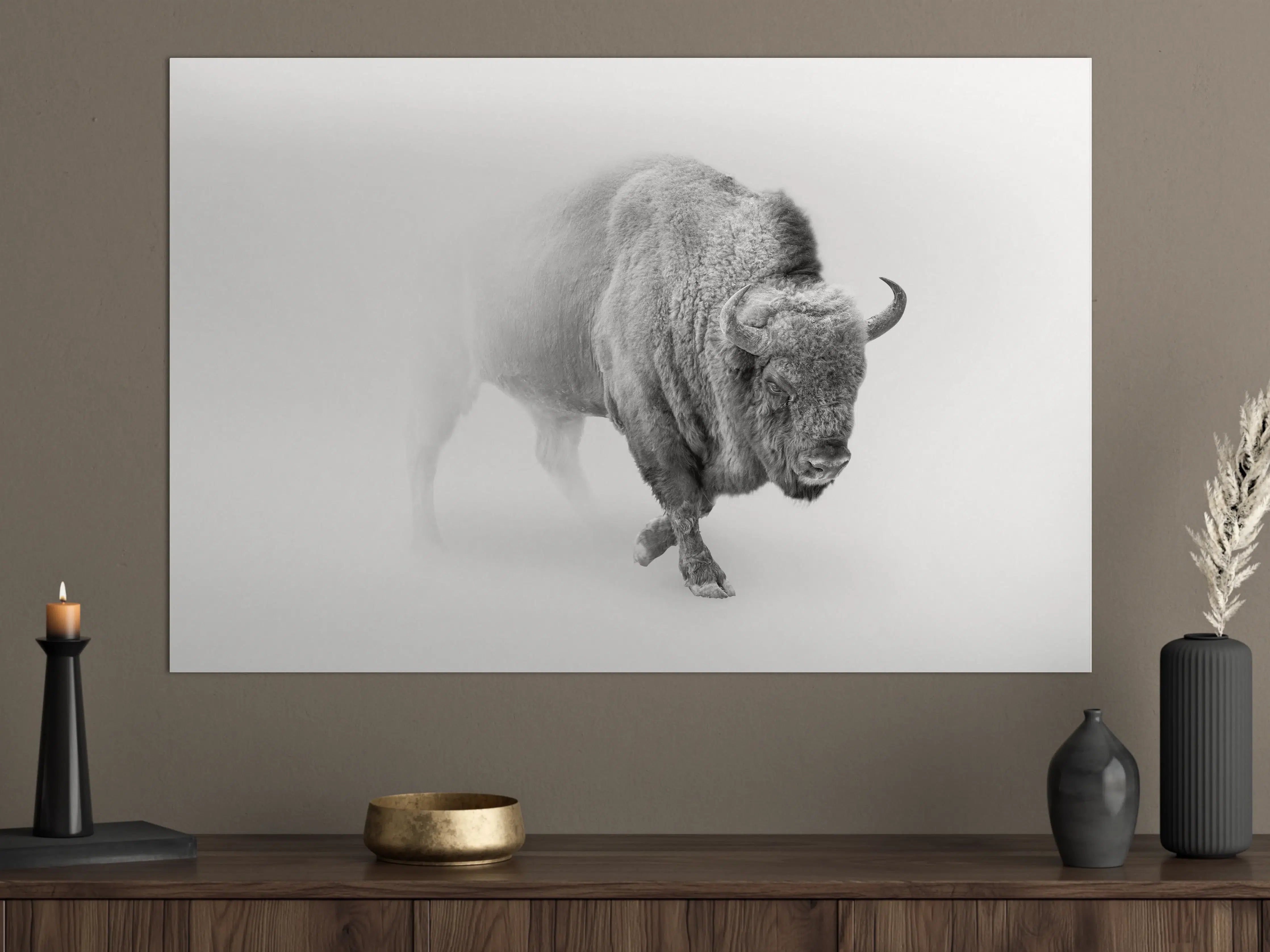 Große Wandbilder - Bison Graustufenbild