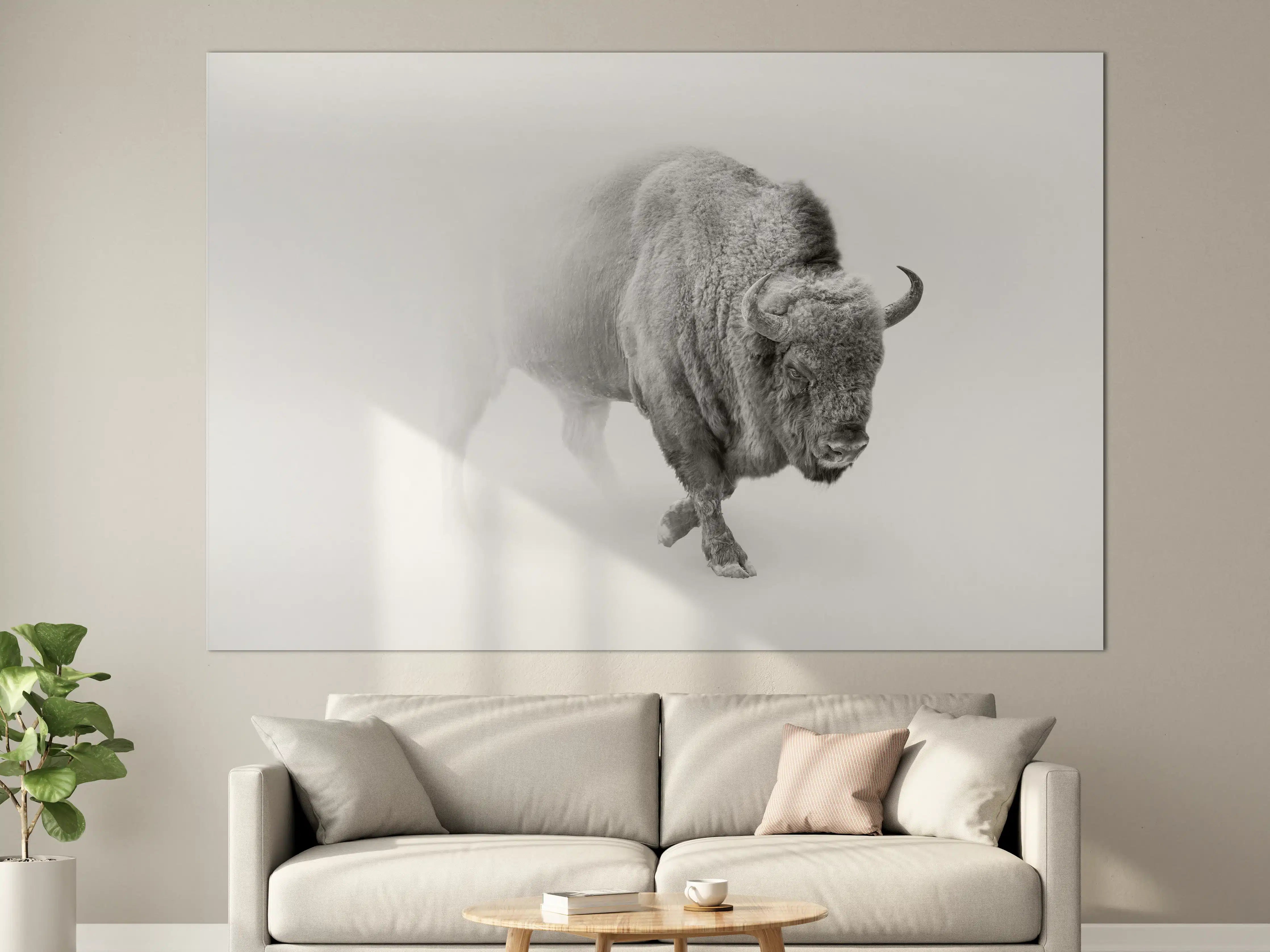 Große Wandbilder - Bison Graustufenbild