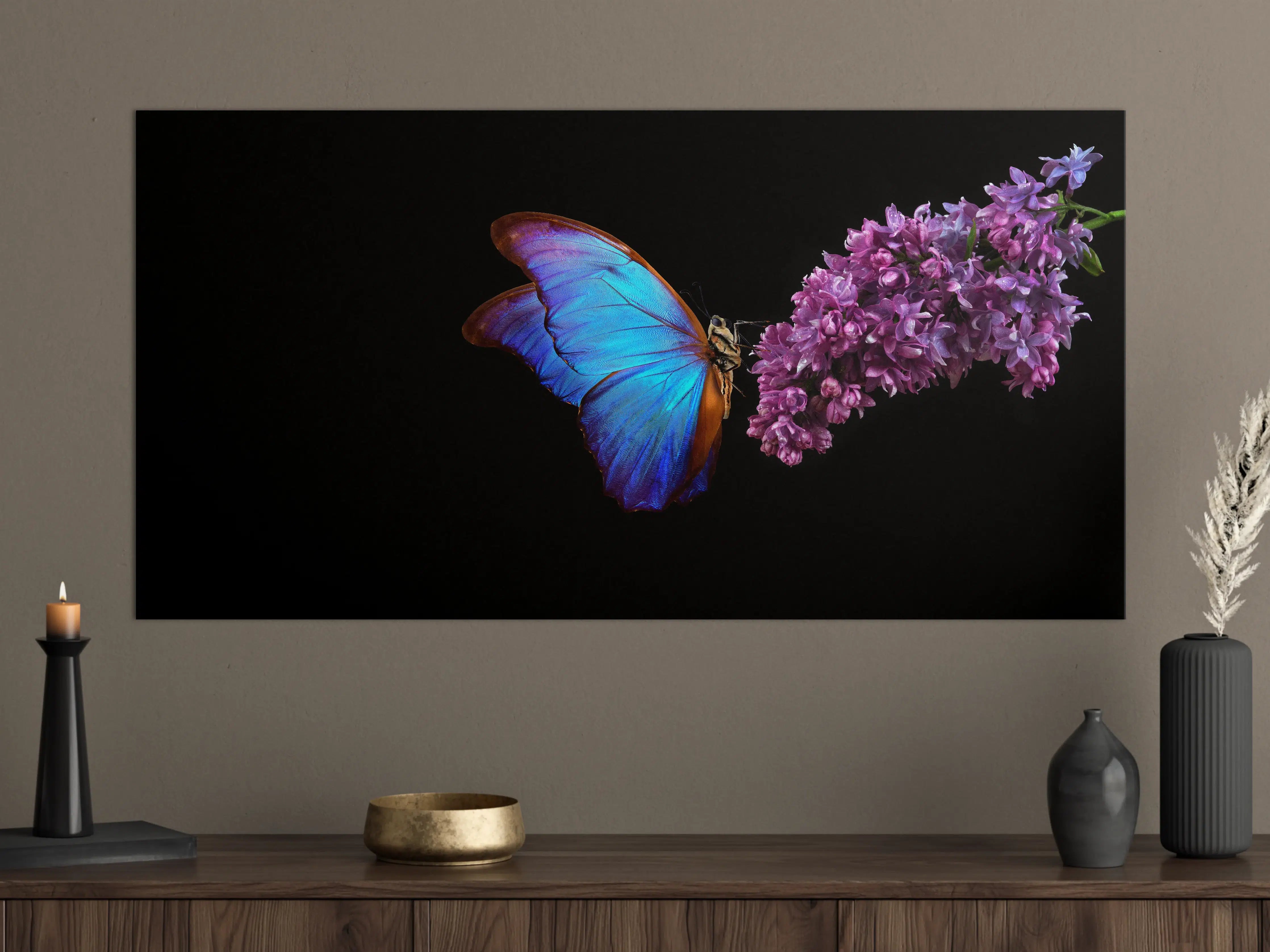 Große Wandbilder - Bläulicher Schmetterling auf Blume