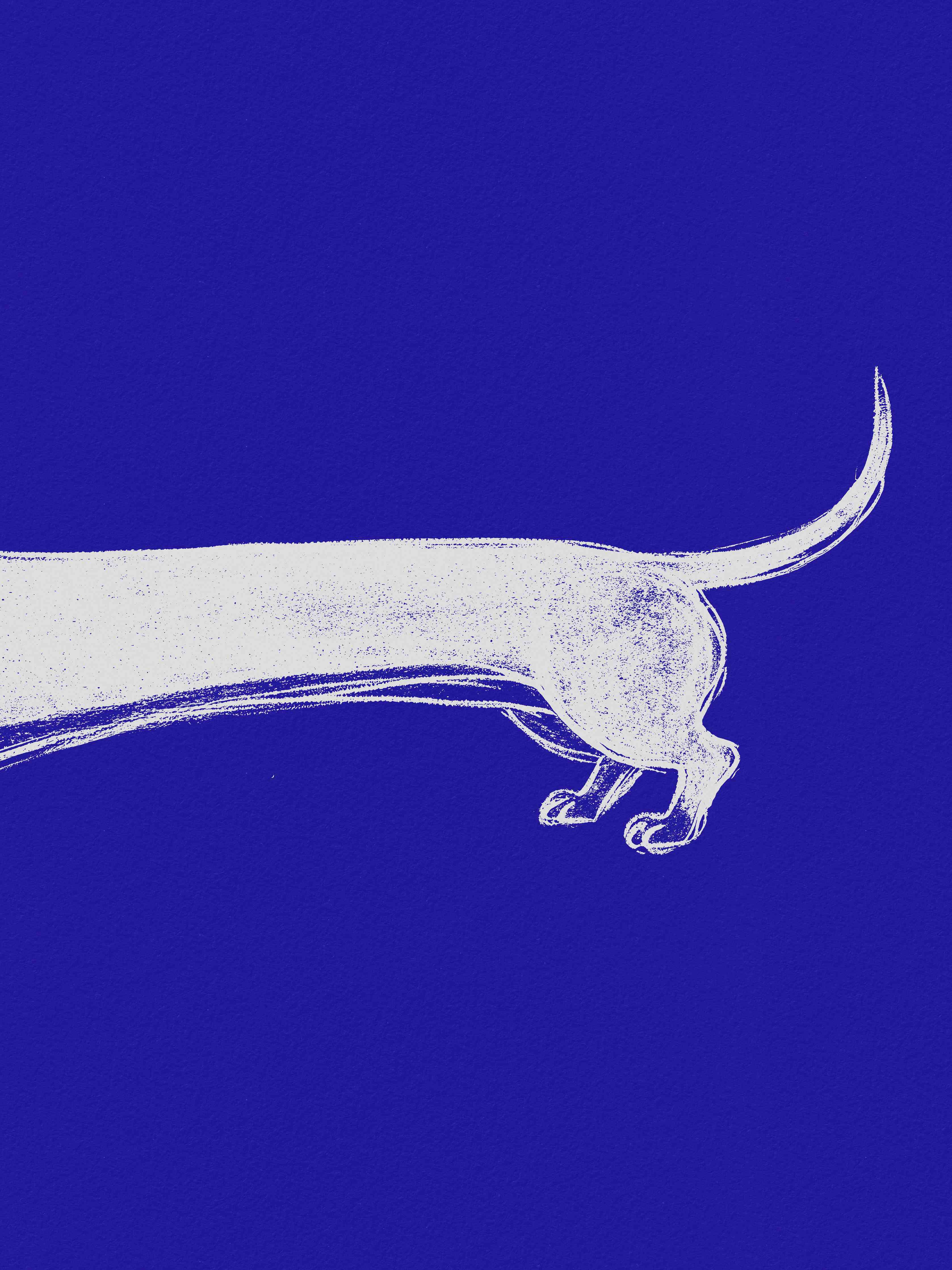 Große Wandbilder-Blaues Kunstwerk mit weißem Katzenmotiv