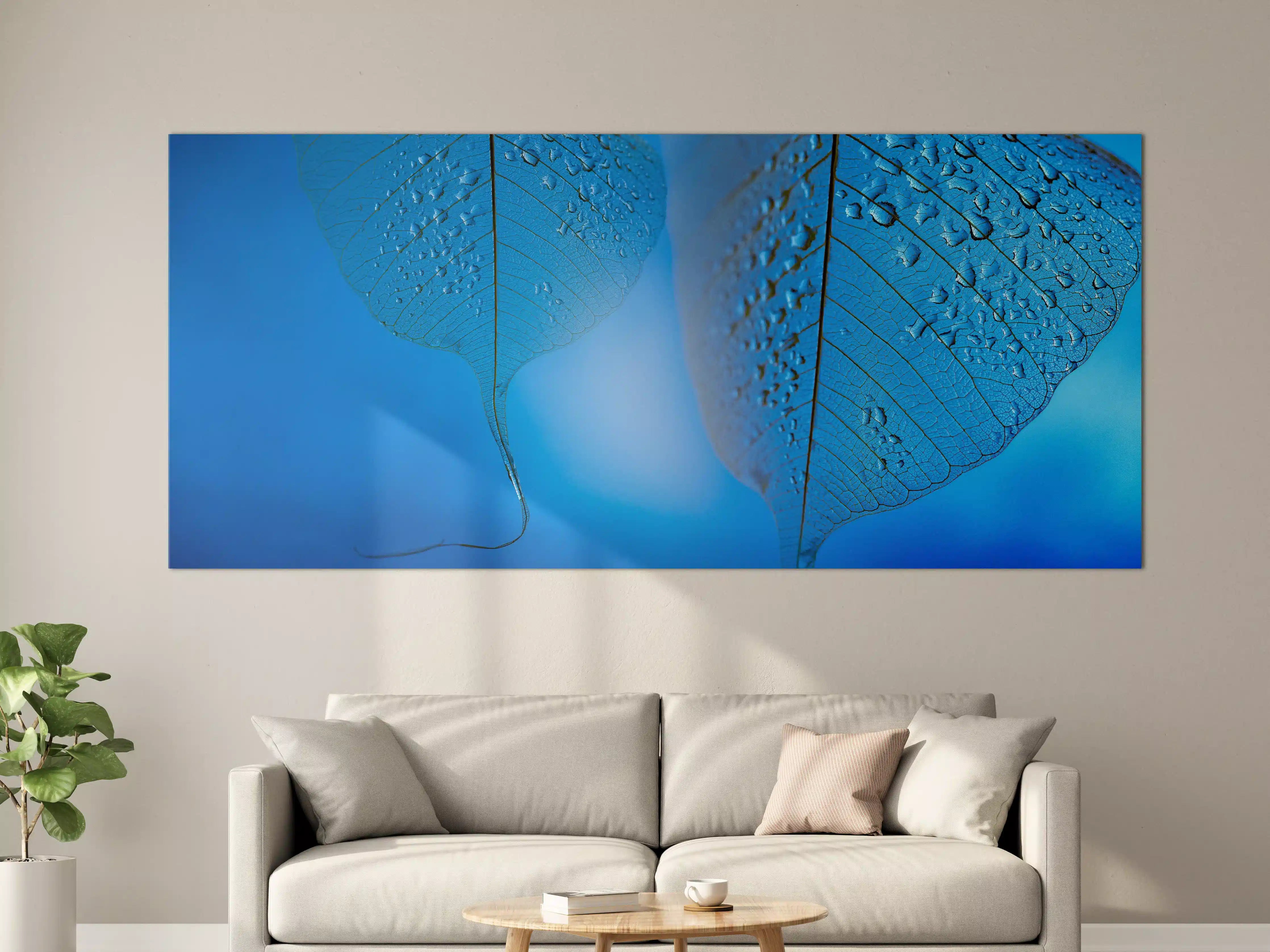 Große Wandbilder - Blaues Tautropfen Blatt Makro