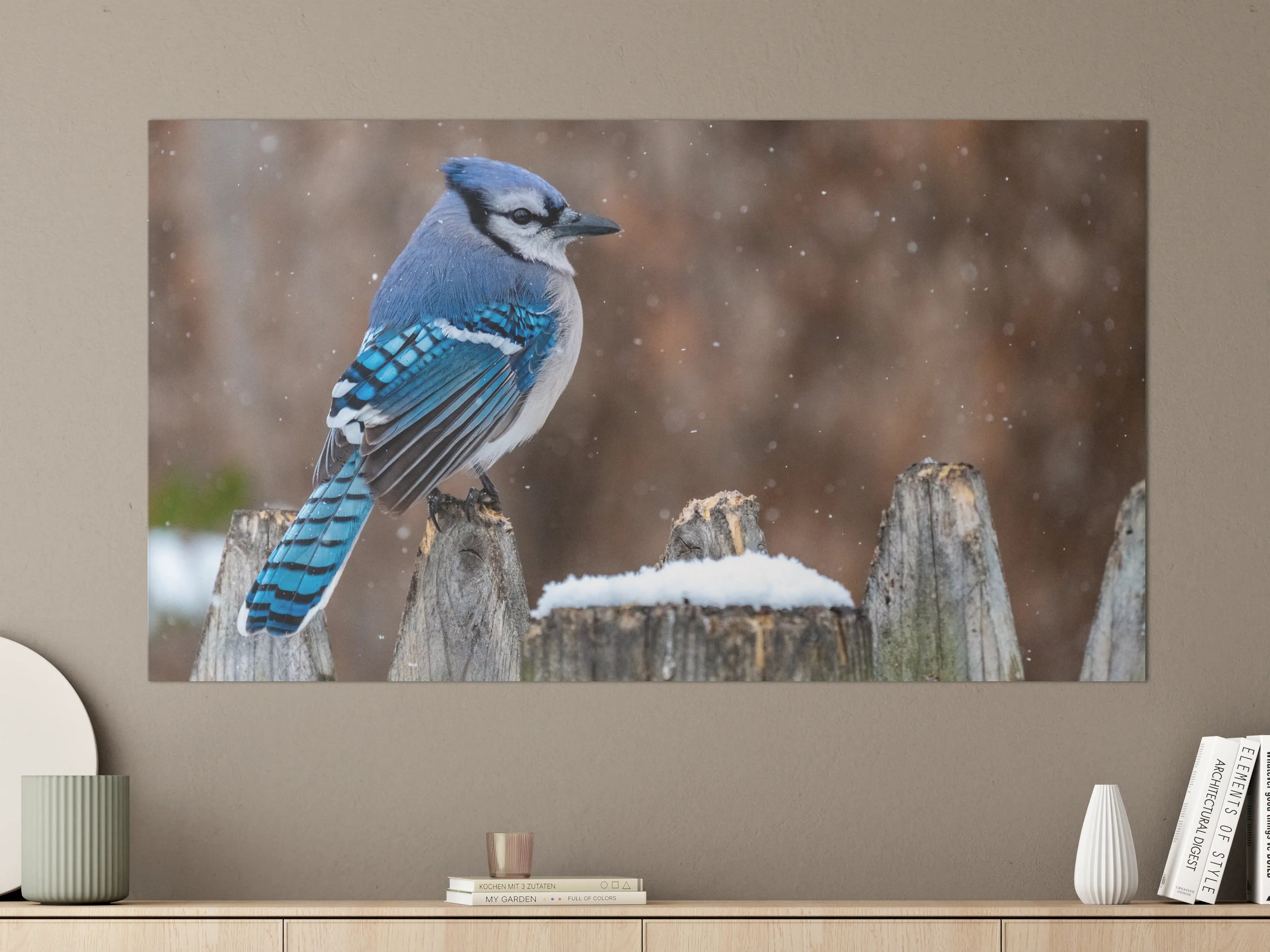 Große Wandbilder - Blauhäher im Schnee