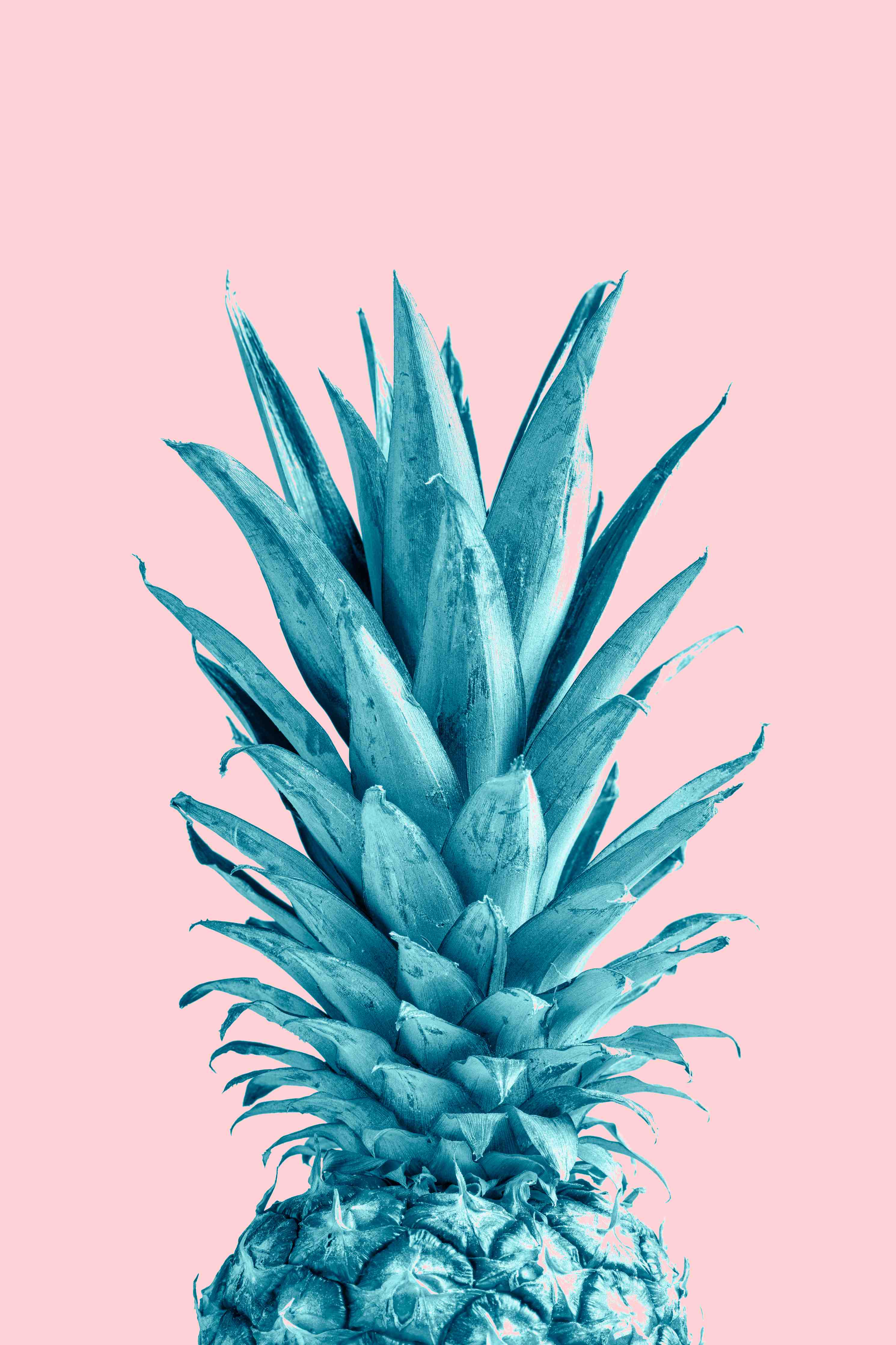Große Wandbilder-Blautöne-Pineapple auf Roségrau-Hintergrund