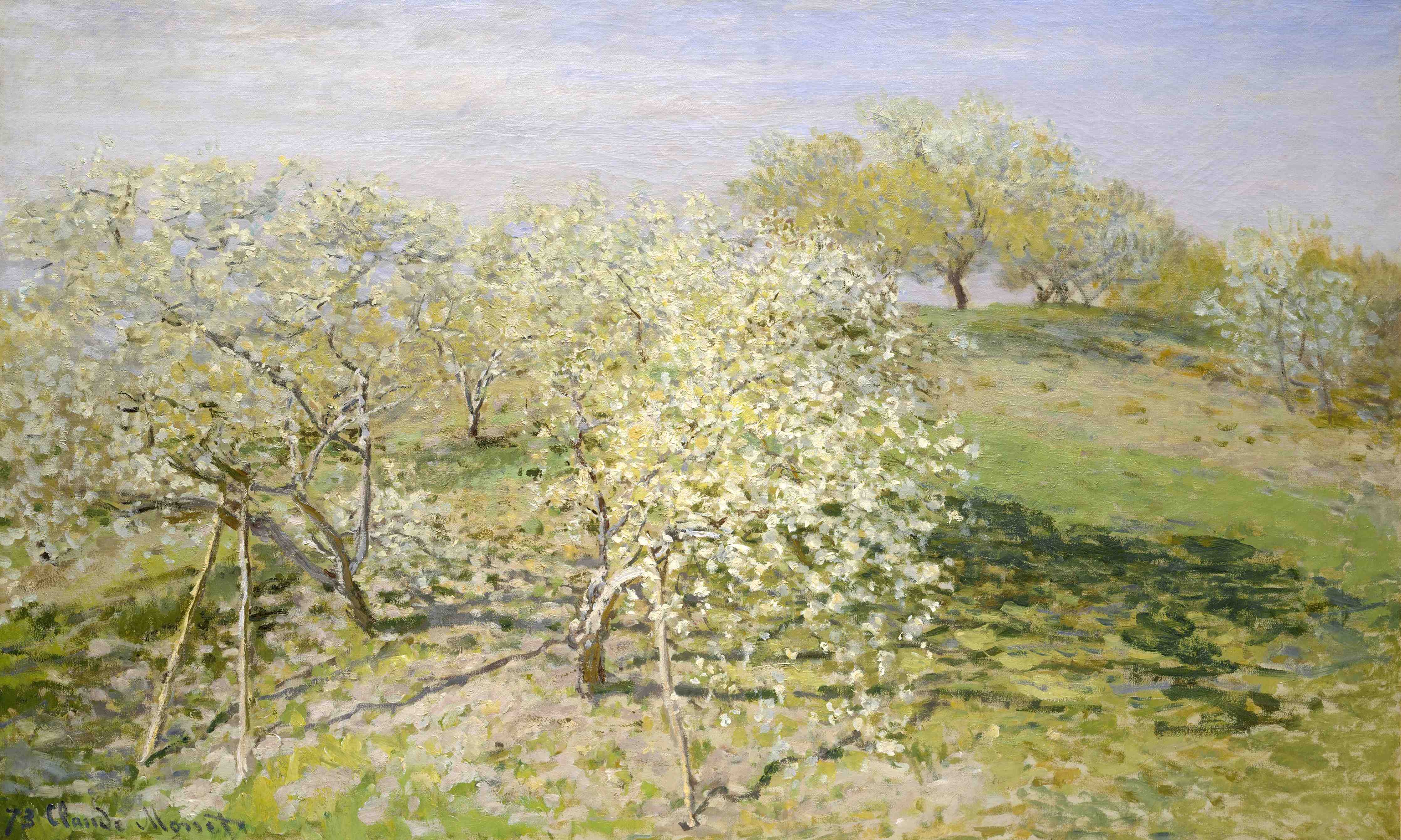Große Wandbilder-Blühende Obstbäume im Frühlingslicht