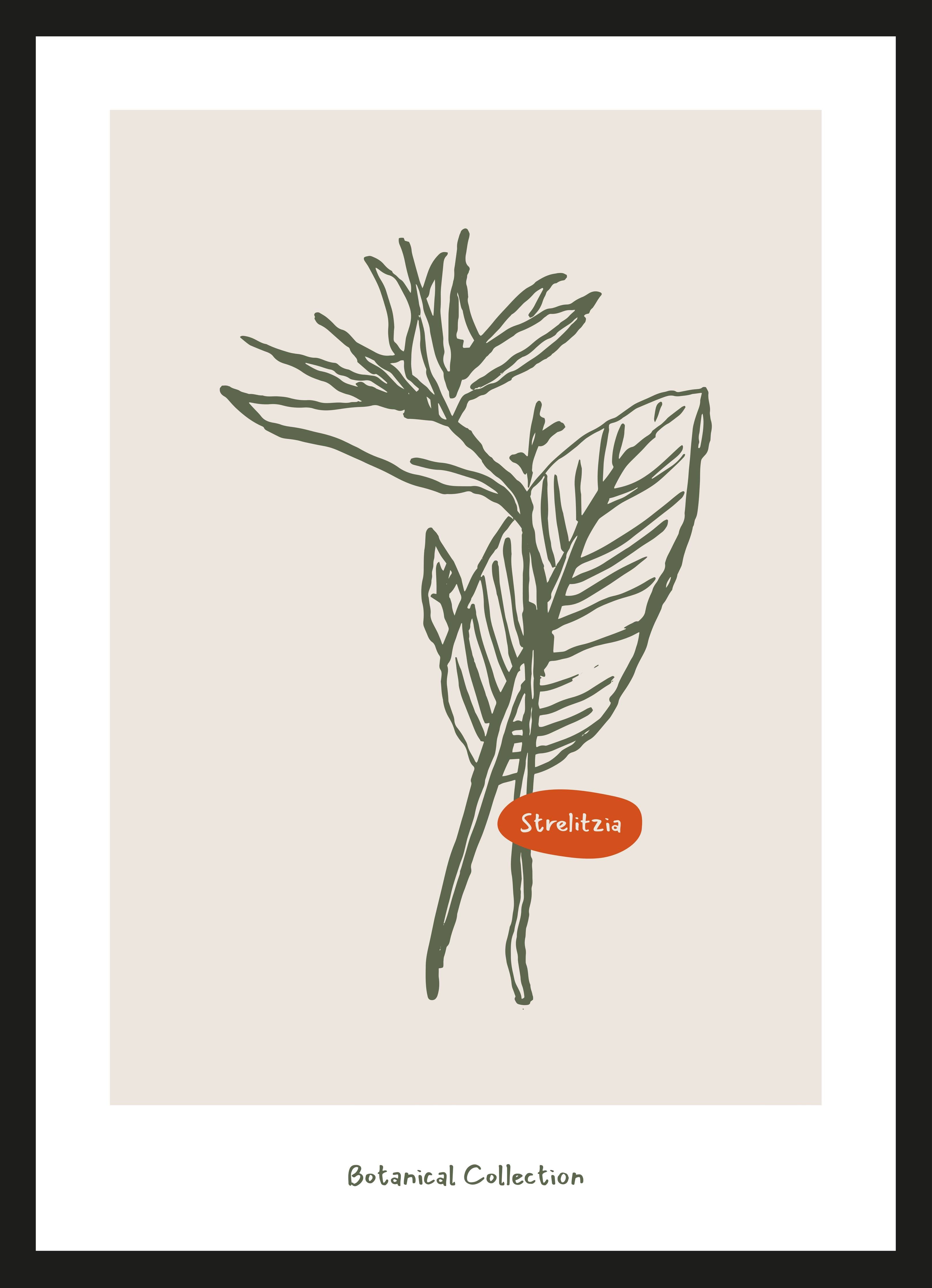 Große Wandbilder-Botanische Illustration mit grünen Blättern