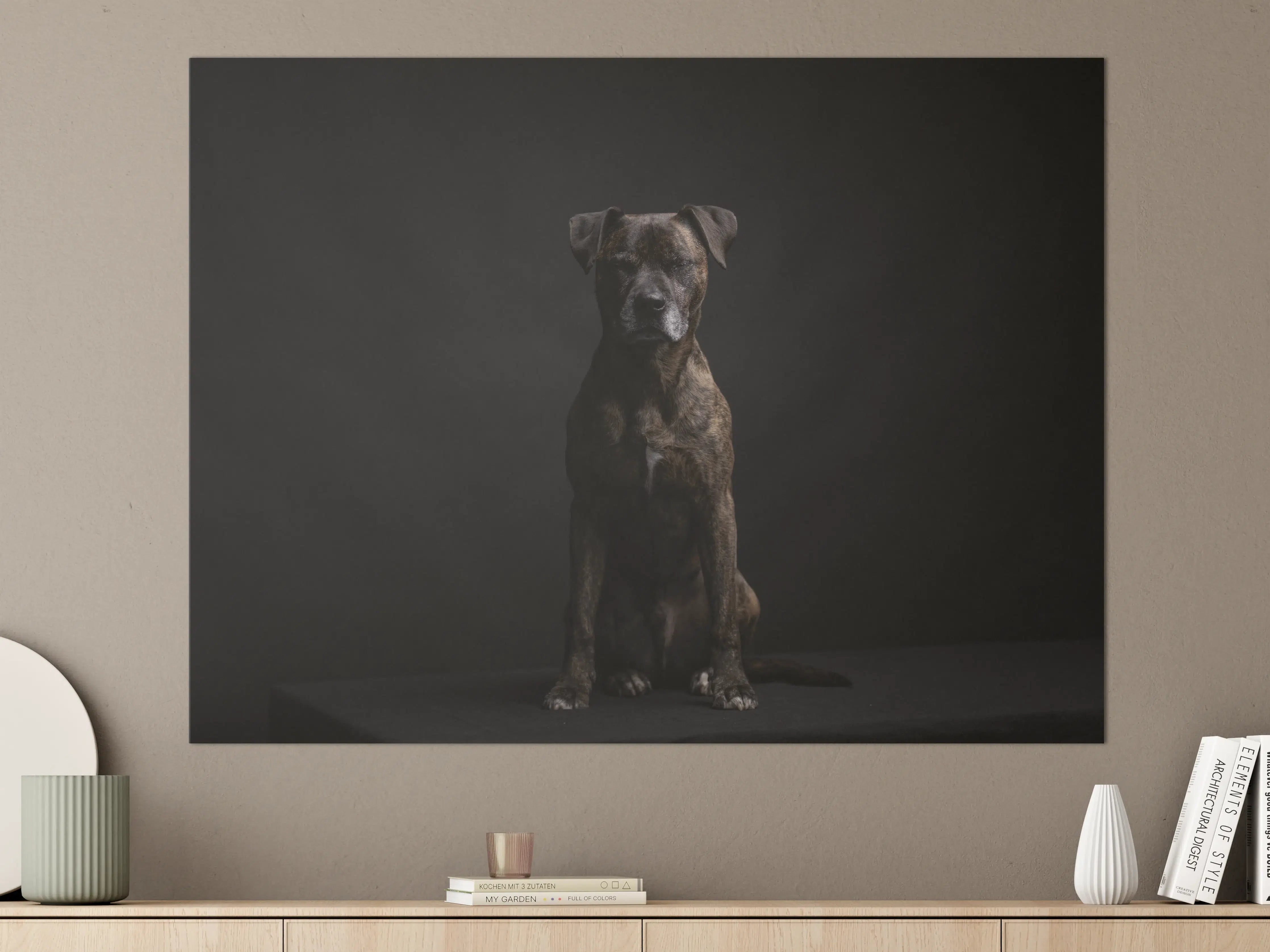 Große Wandbilder - Boxer Staffordshire Hund