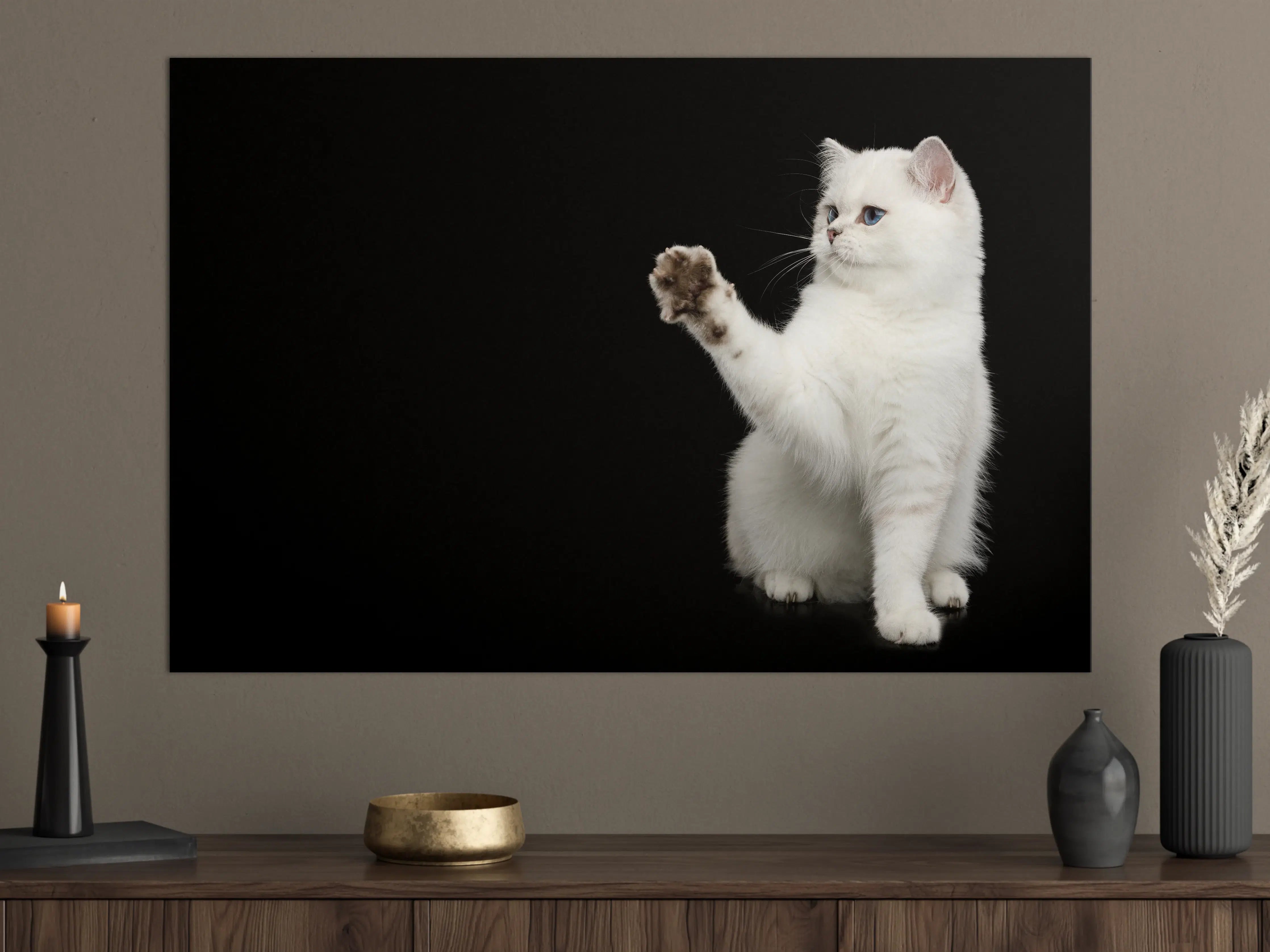 Große Wandbilder - British weiße Katze