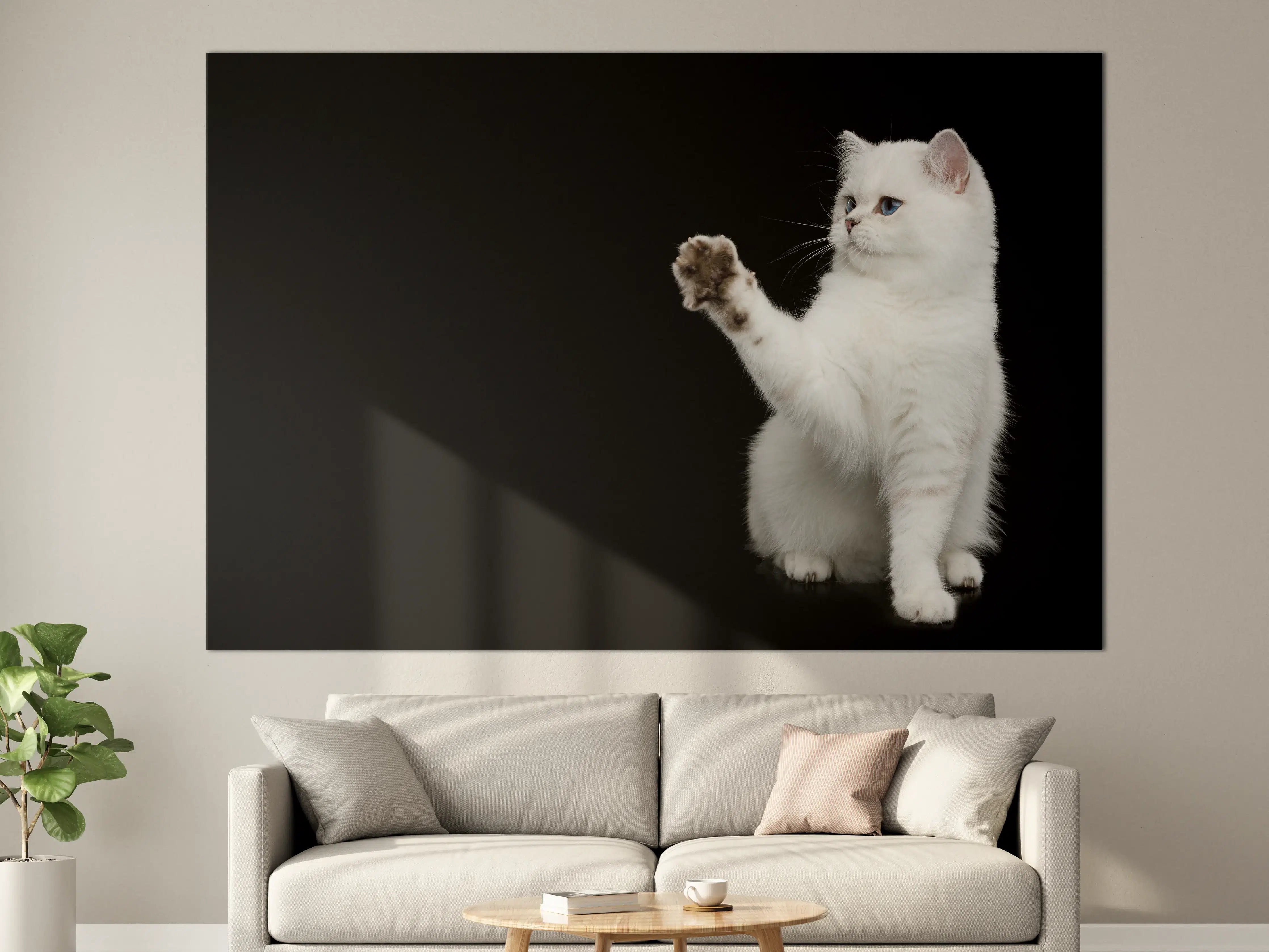 Große Wandbilder - British weiße Katze