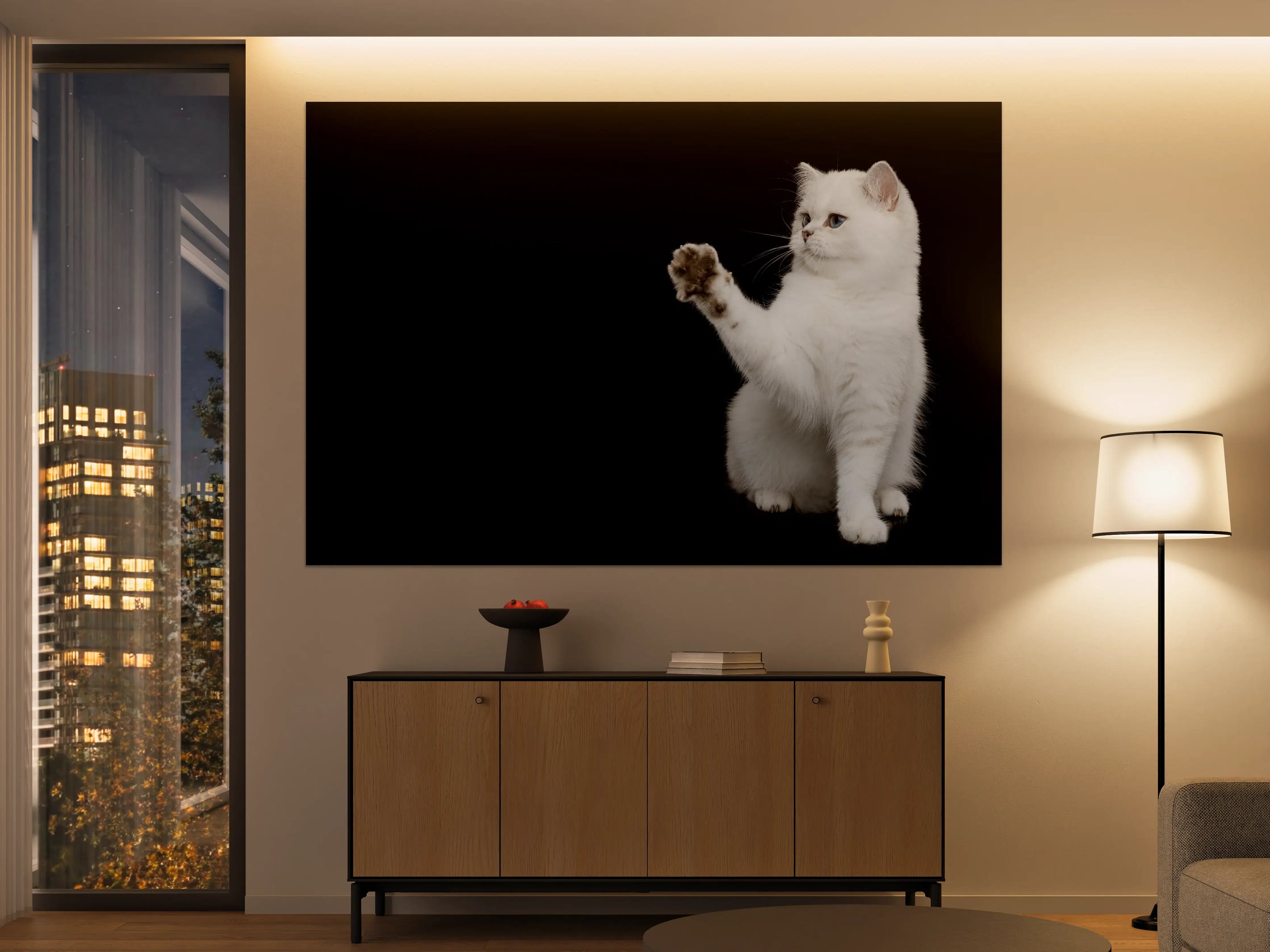 Große Wandbilder - British weiße Katze