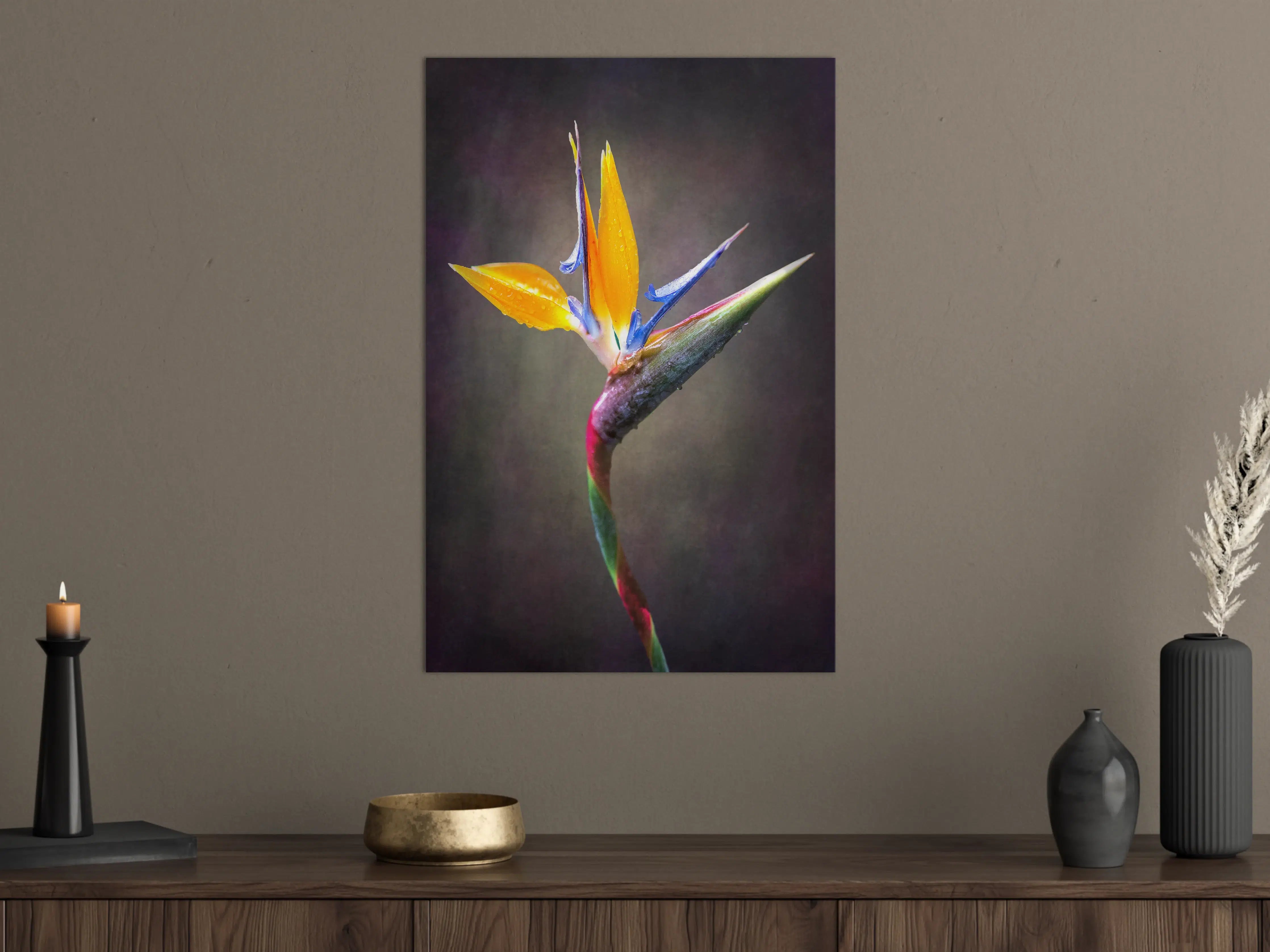 Große Wandbilder - Bunter Blumenstrauß auf dunklem Hintergrund