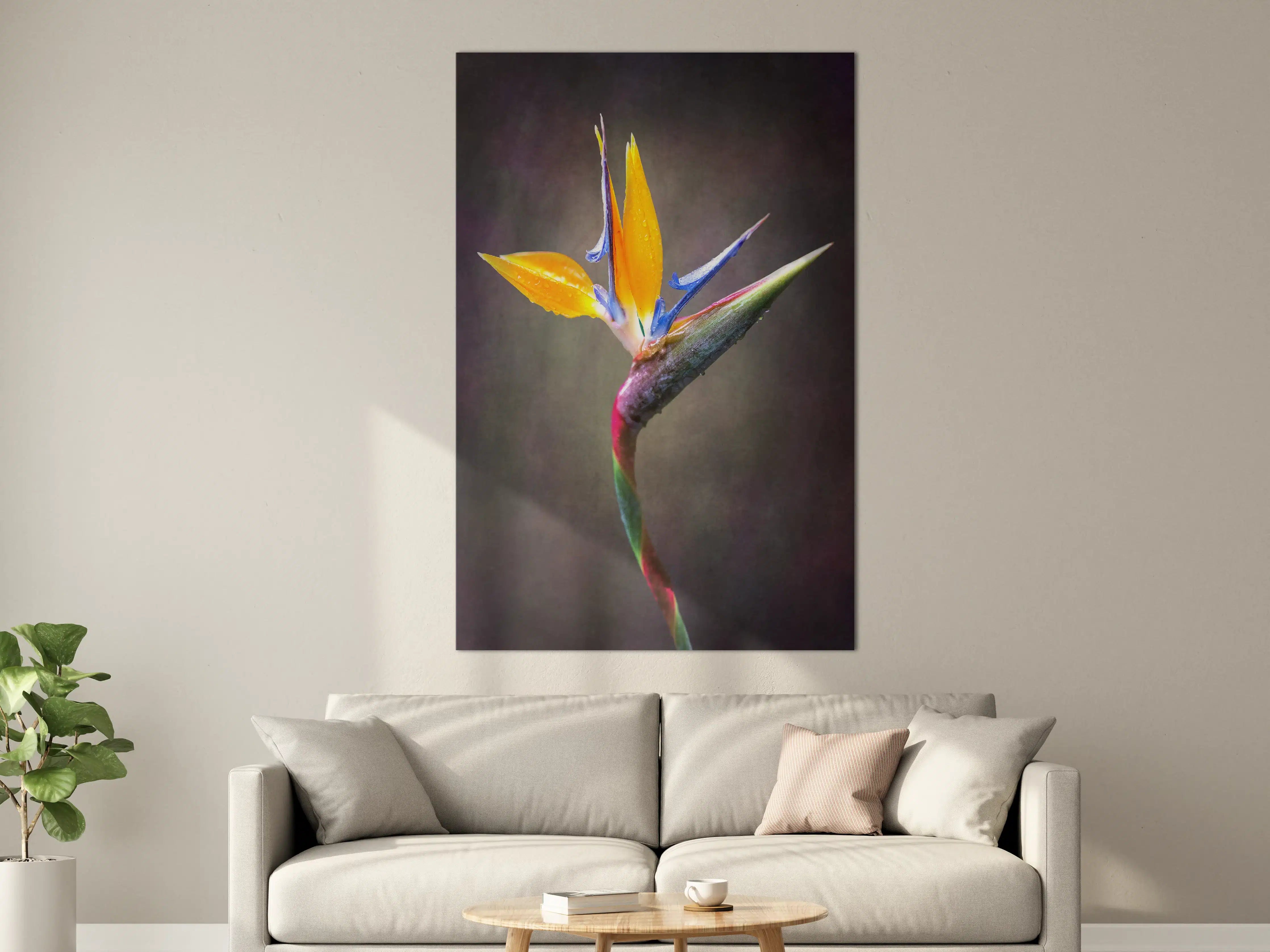 Große Wandbilder - Bunter Blumenstrauß auf dunklem Hintergrund