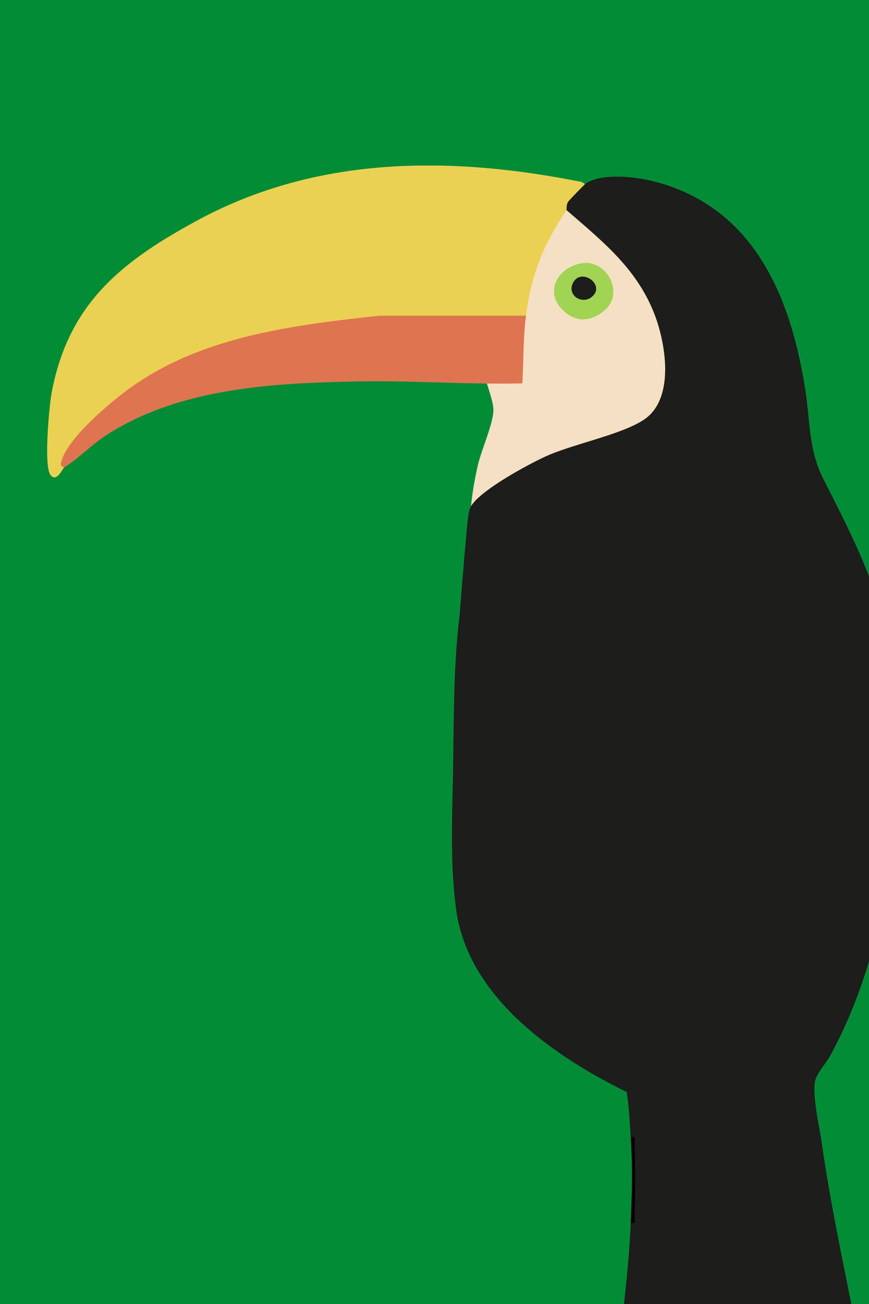 Große Wandbilder-Bunter Papagei vor grünem Hintergrund