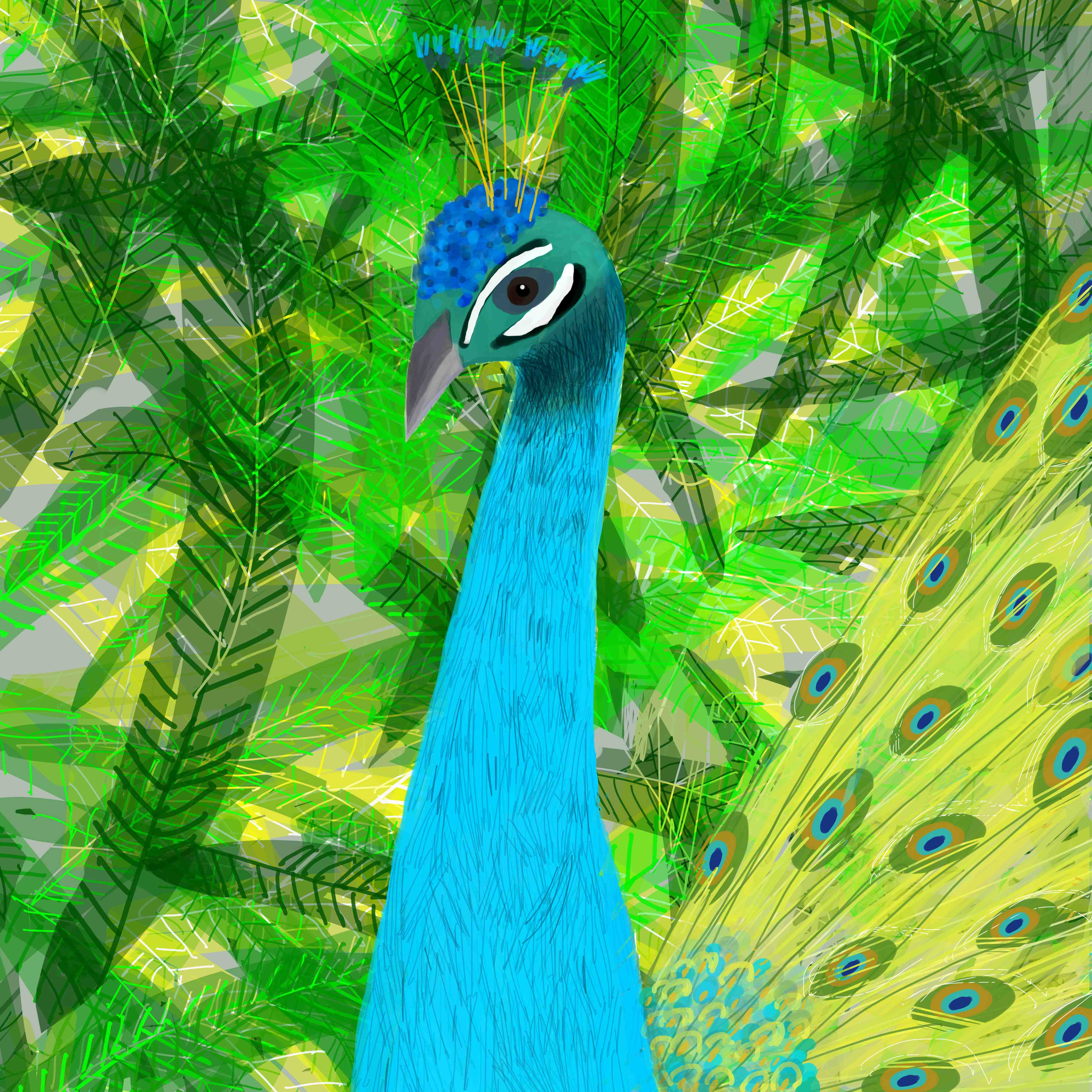 Große Wandbilder-Bunter Pfau in tropischer Landschaft