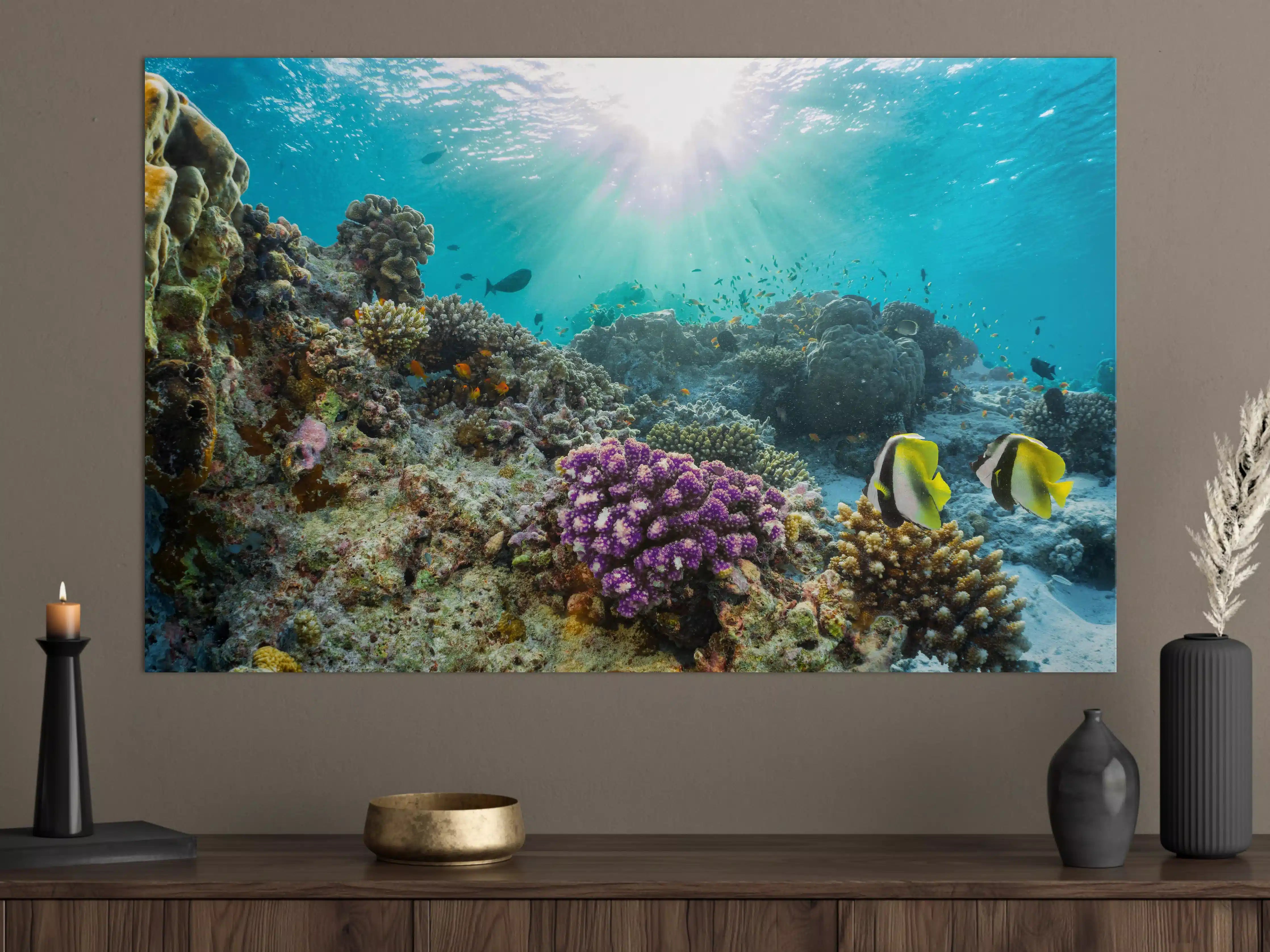 Große Wandbilder - Buntes Korallenriff in den Malediven