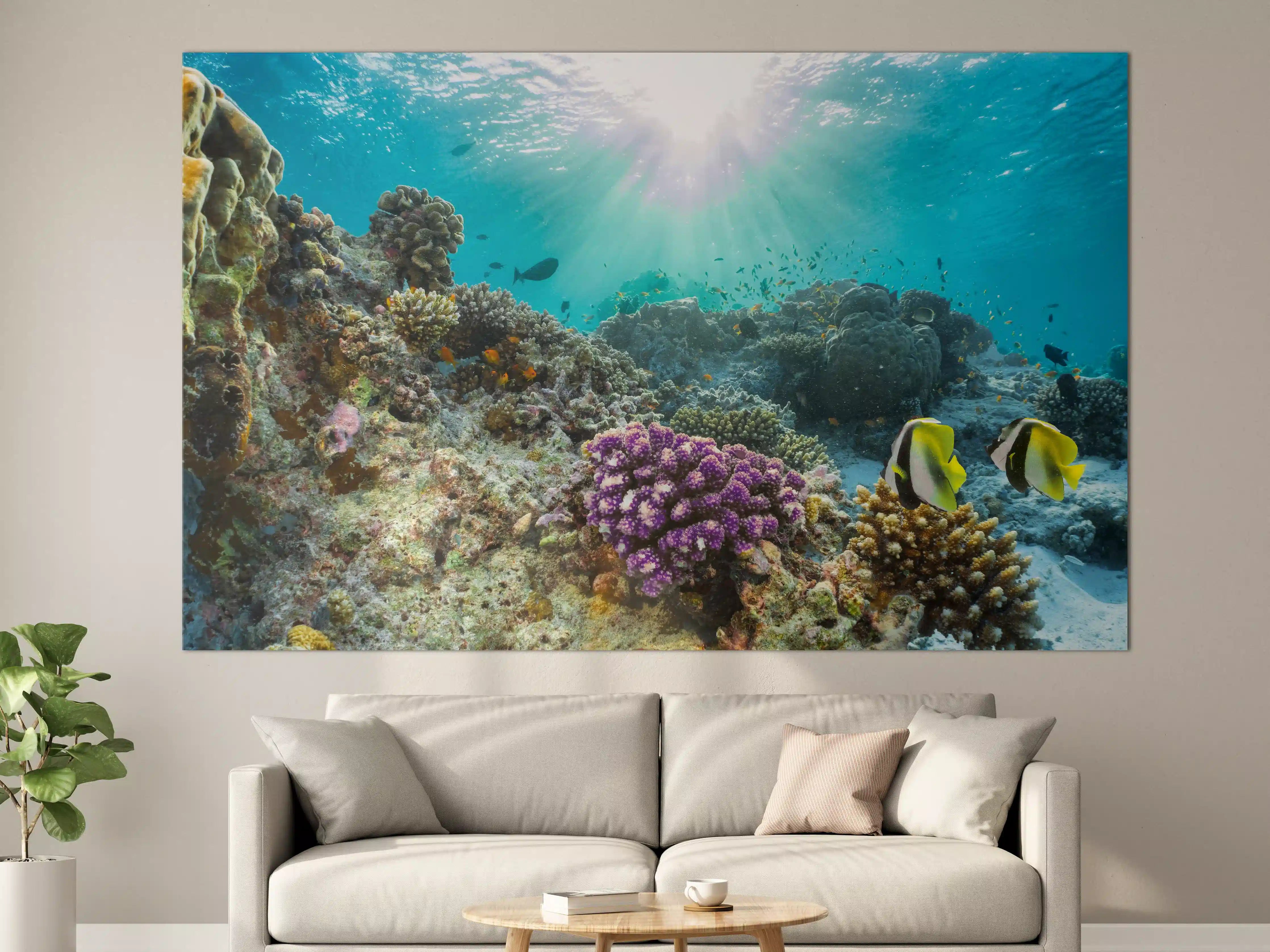 Große Wandbilder - Buntes Korallenriff in den Malediven