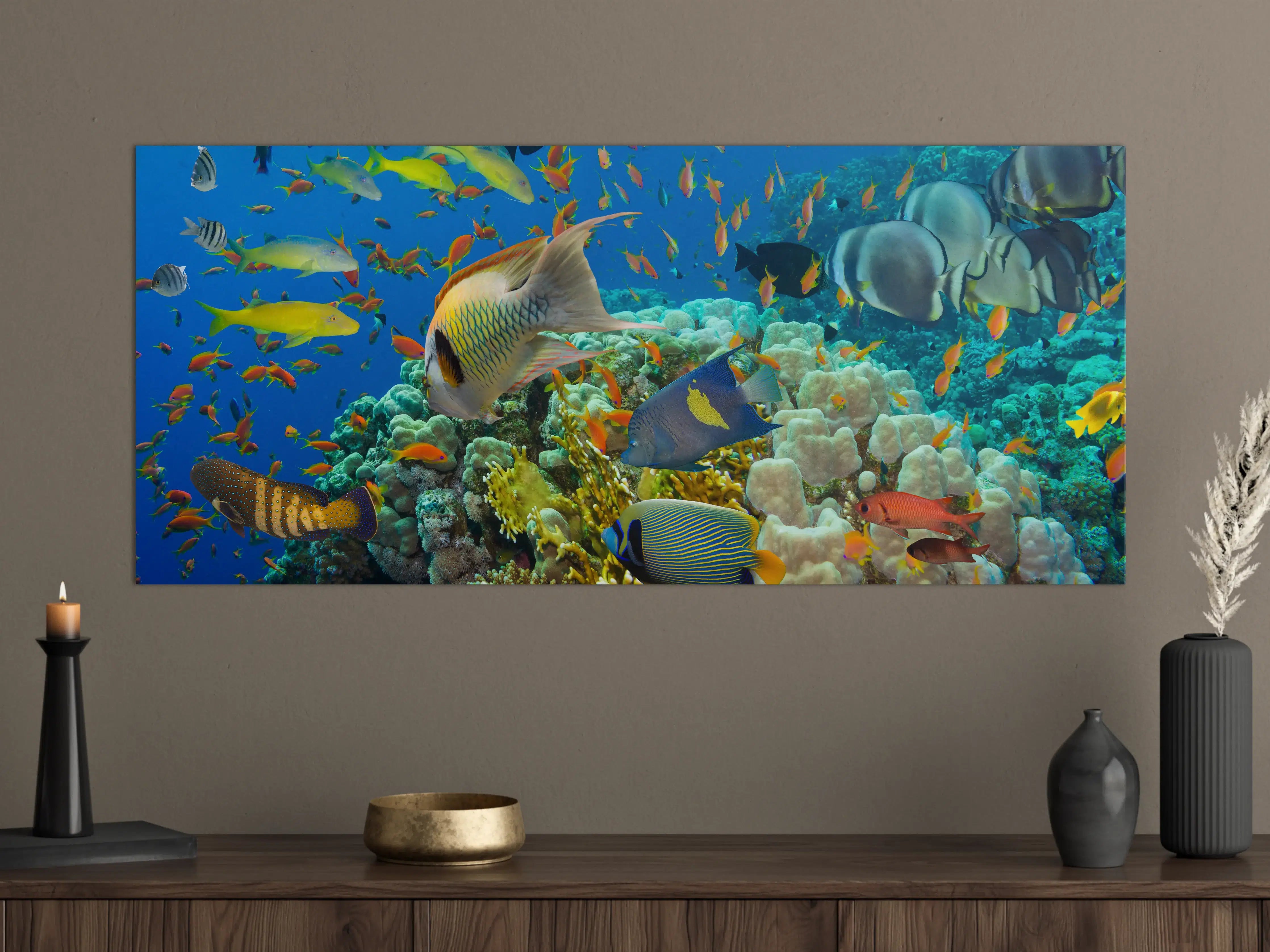 Große Wandbilder - Buntes Korallenriff mit Fischen