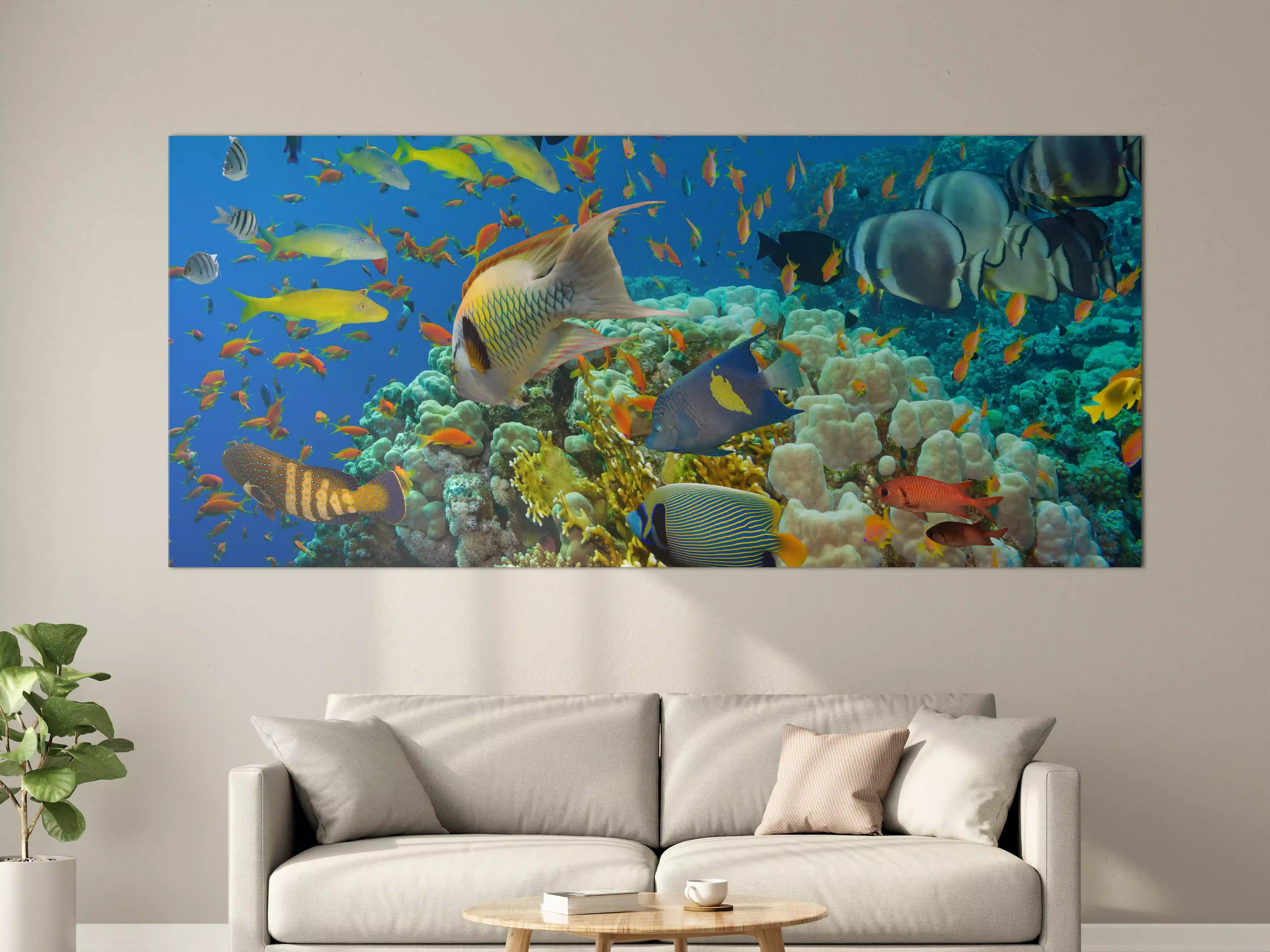 Große Wandbilder - Buntes Korallenriff mit Fischen