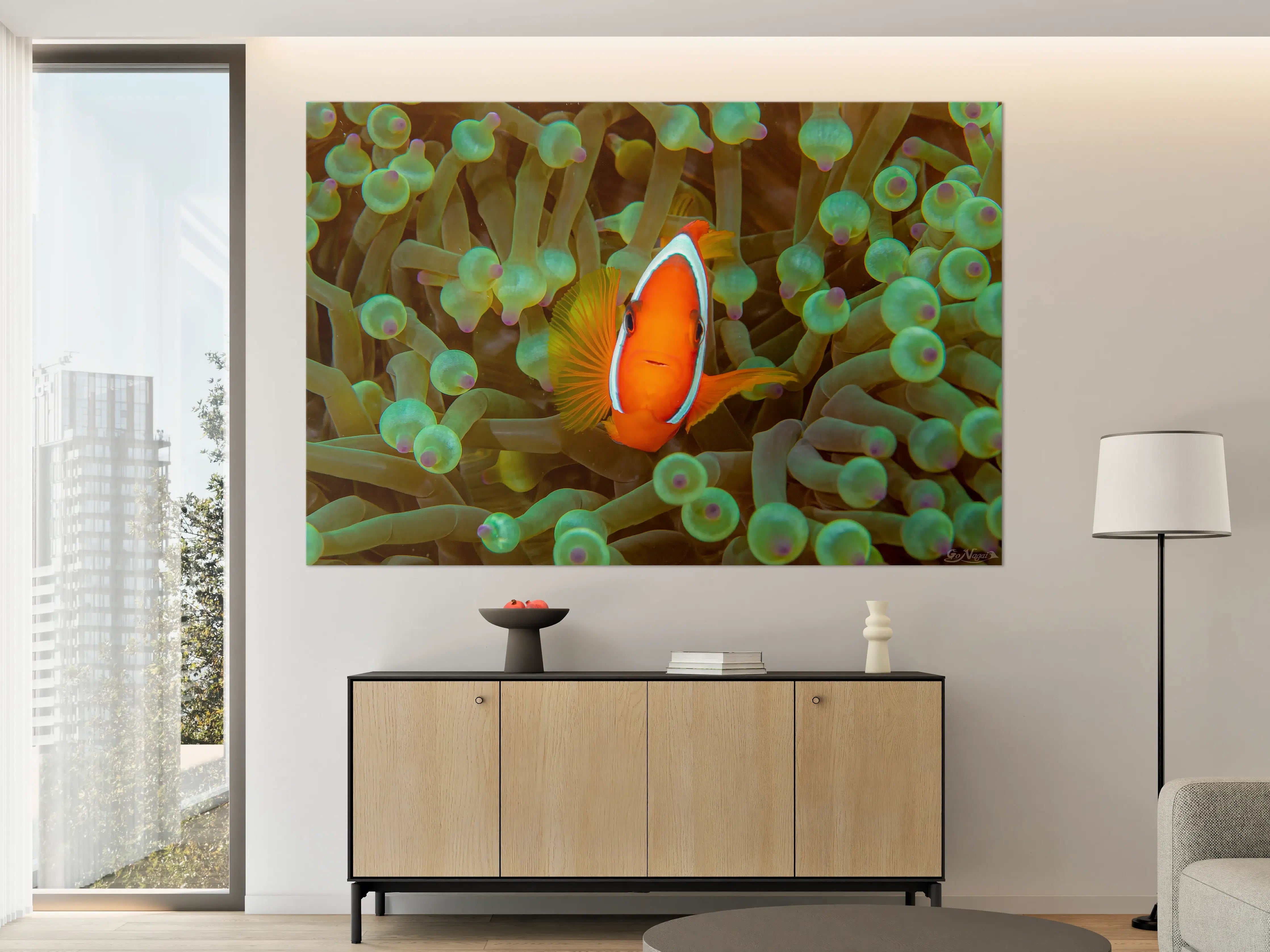 Große Wandbilder - Clownfisch - Unterwasserwelt