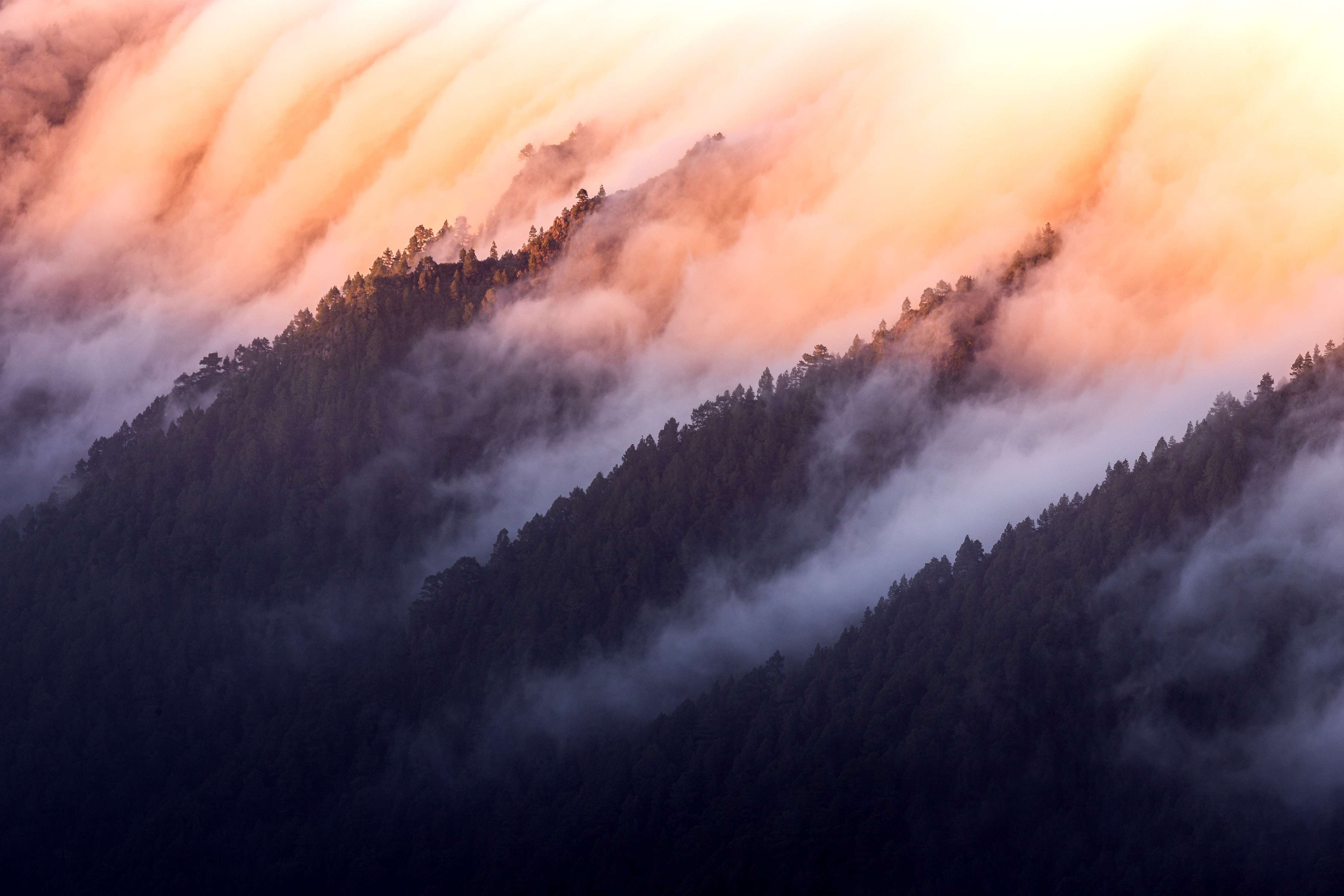 Große Wandbilder-Dämmerung im Wald mit Wolken