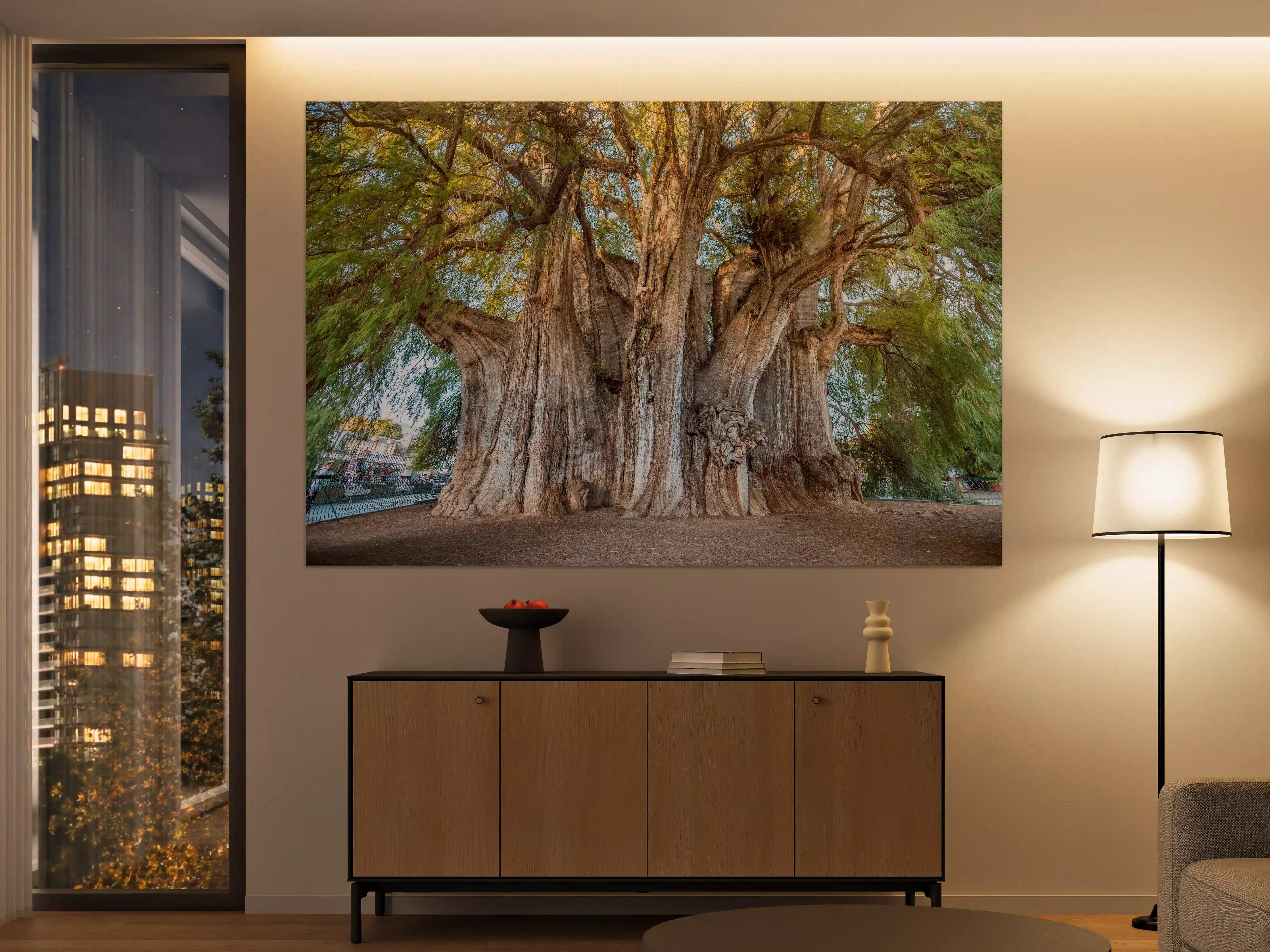 Große Wandbilder - Der größte Baum der Welt - Mexico