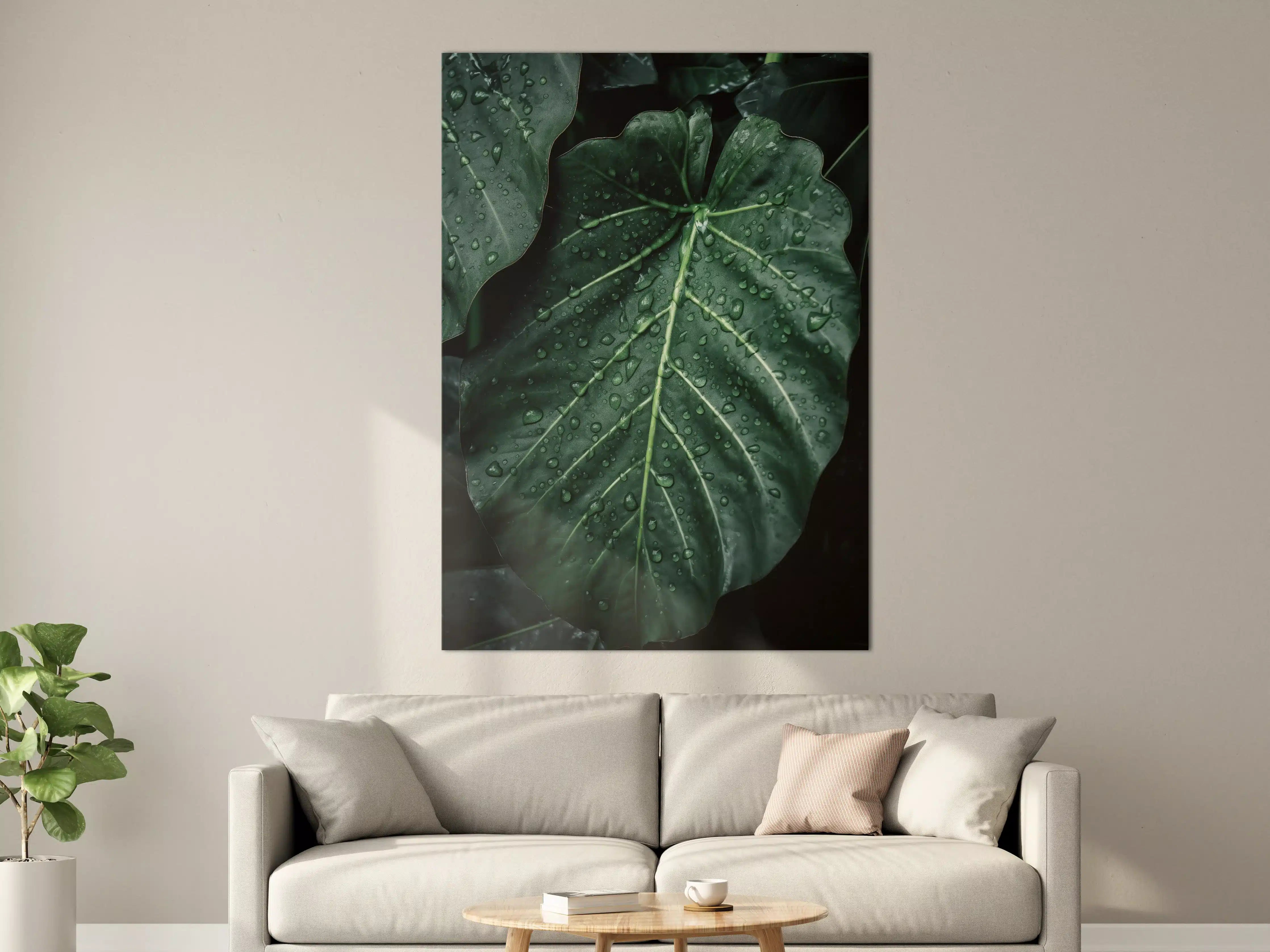 Große Wandbilder - Detaillierte Nahaufnahme eines grünen Blattes mit Wassertröpfchen