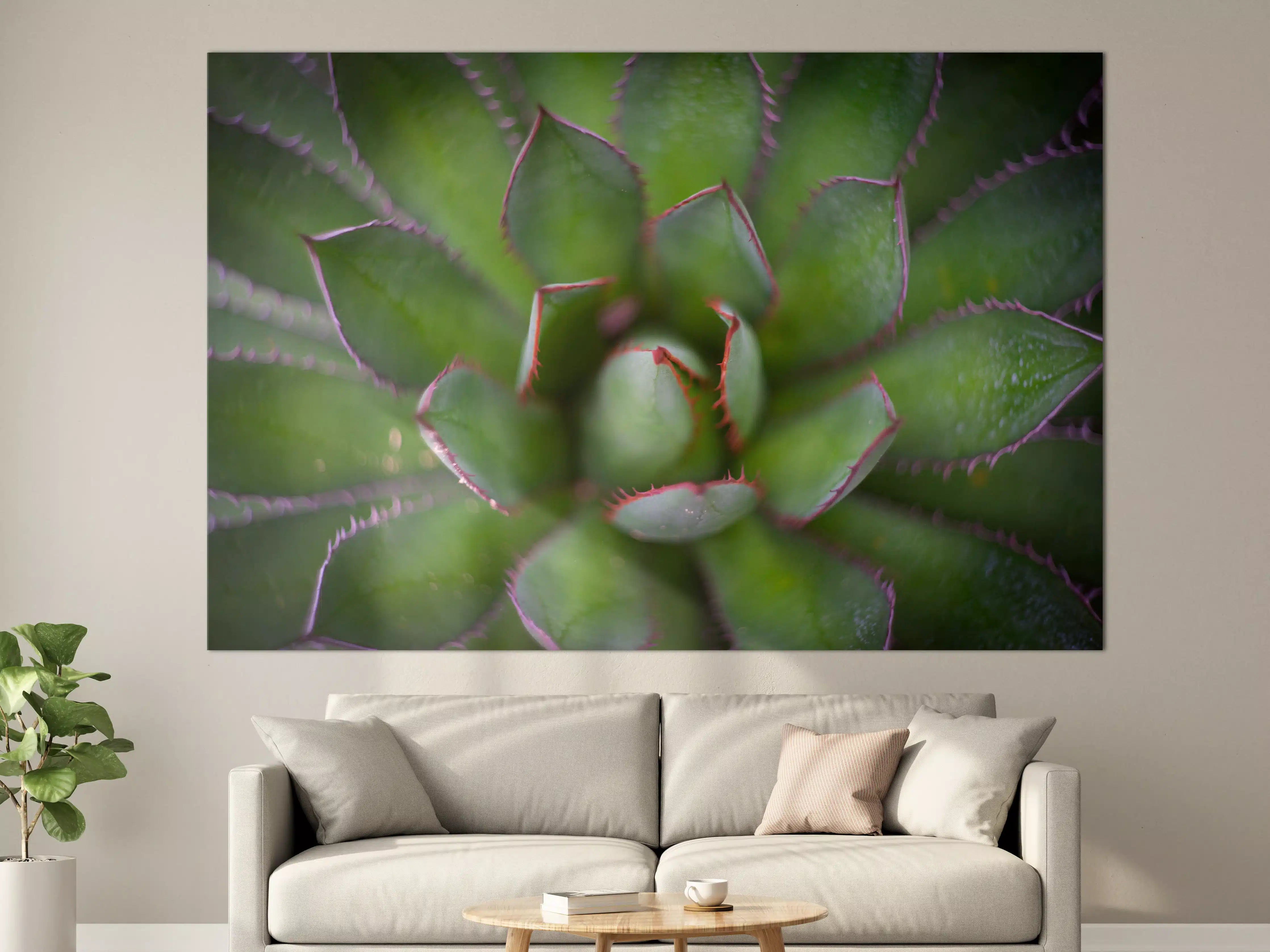 Große Wandbilder - Detailreiche Grüne Agave Pflanze