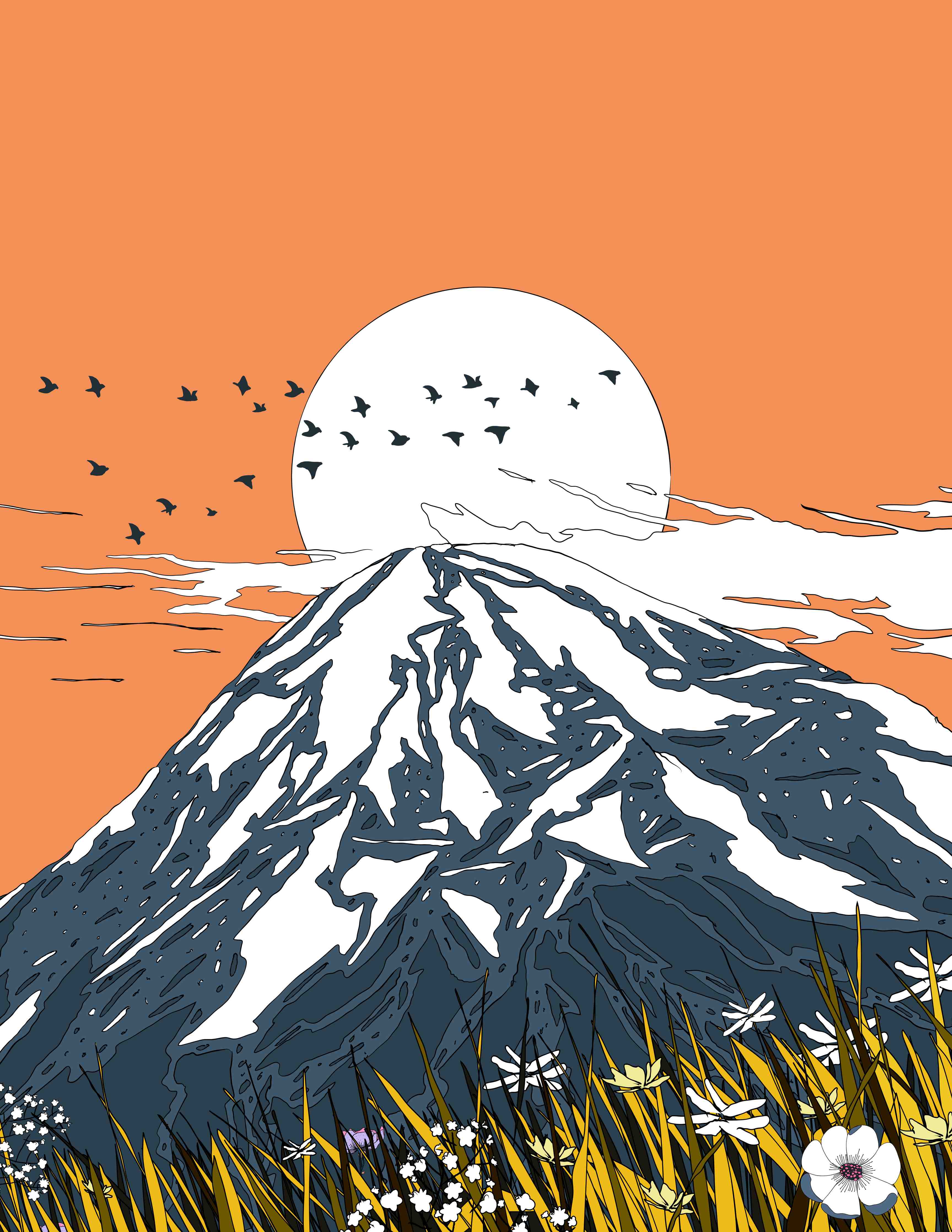 Große Wandbilder-Dramatischer Berg mit Sonnenuntergang und Vögeln