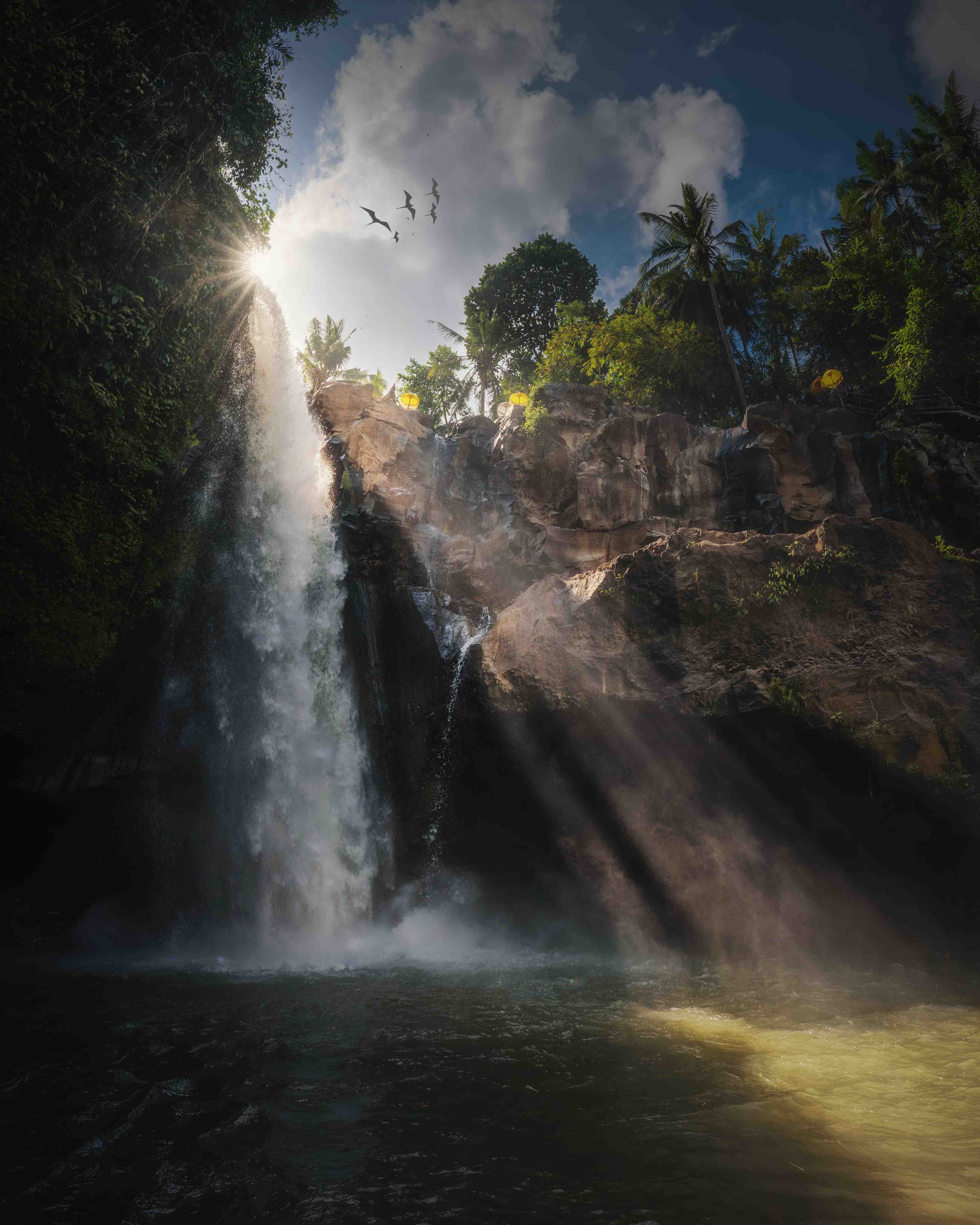 Große Wandbilder-Dschungelwasserfall bei Sonnenlicht