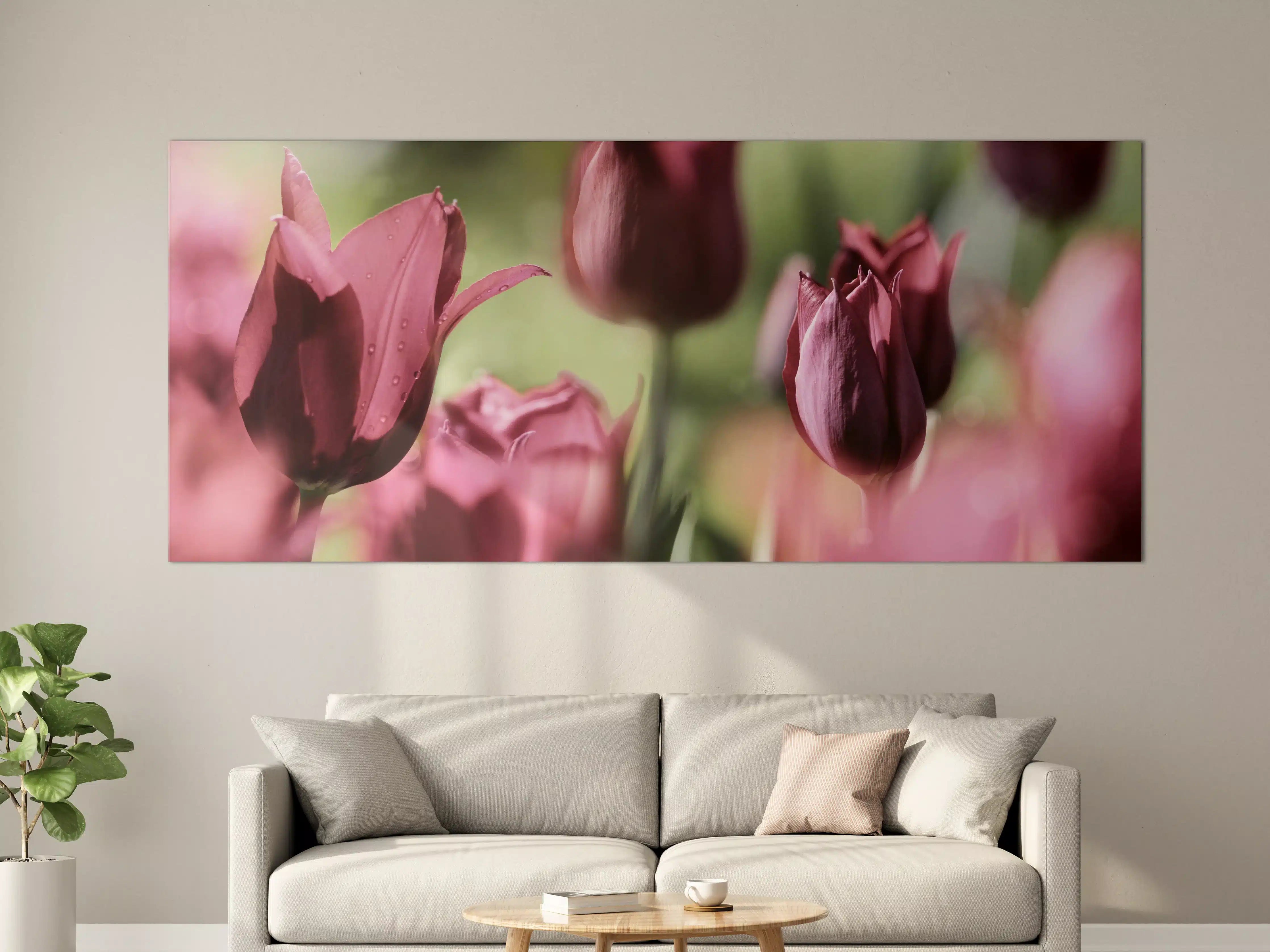 Große Wandbilder - Dunkelrosa Tulpen