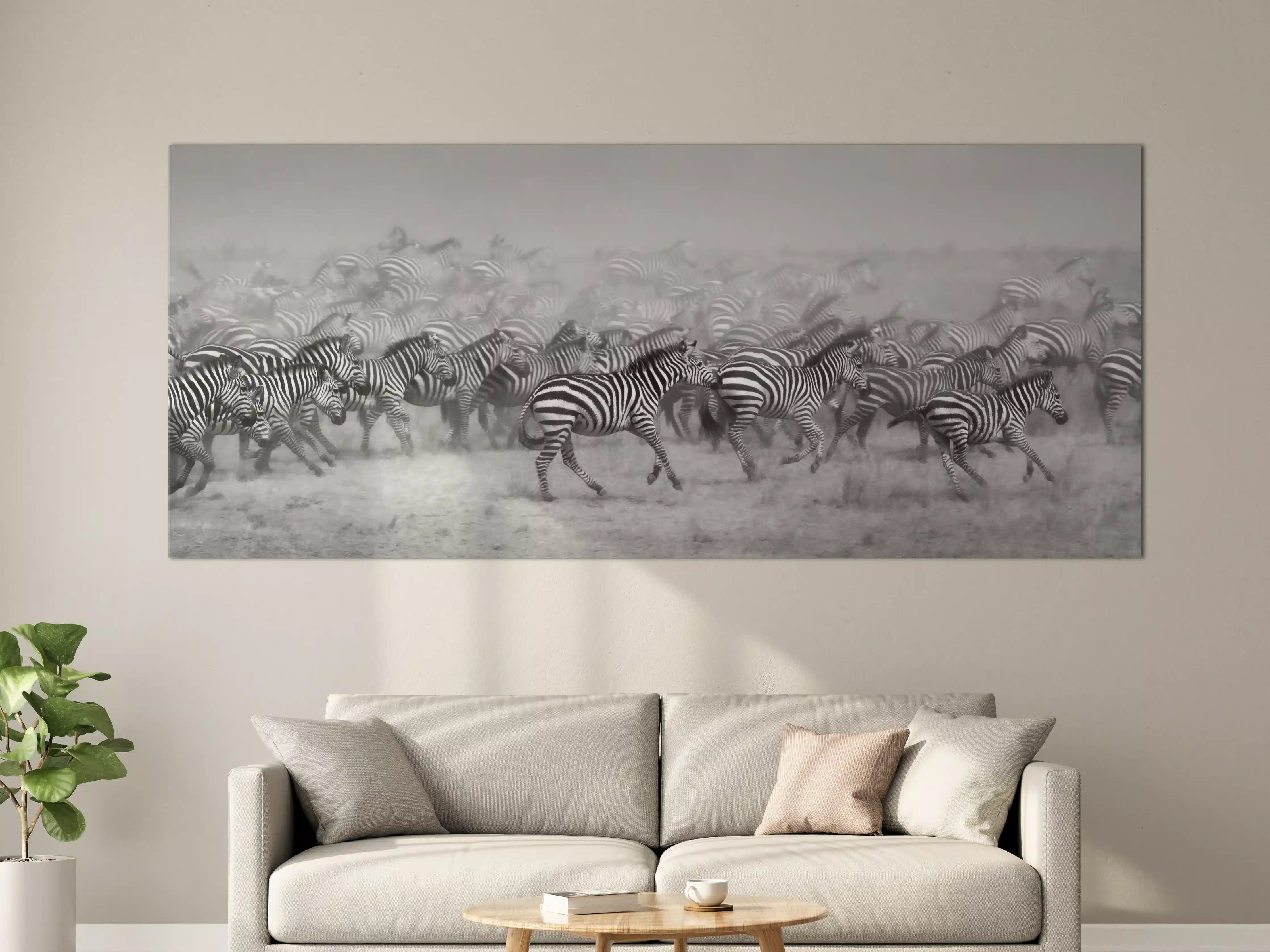 Große Wandbilder - Dunkle Zebras in der Steppe