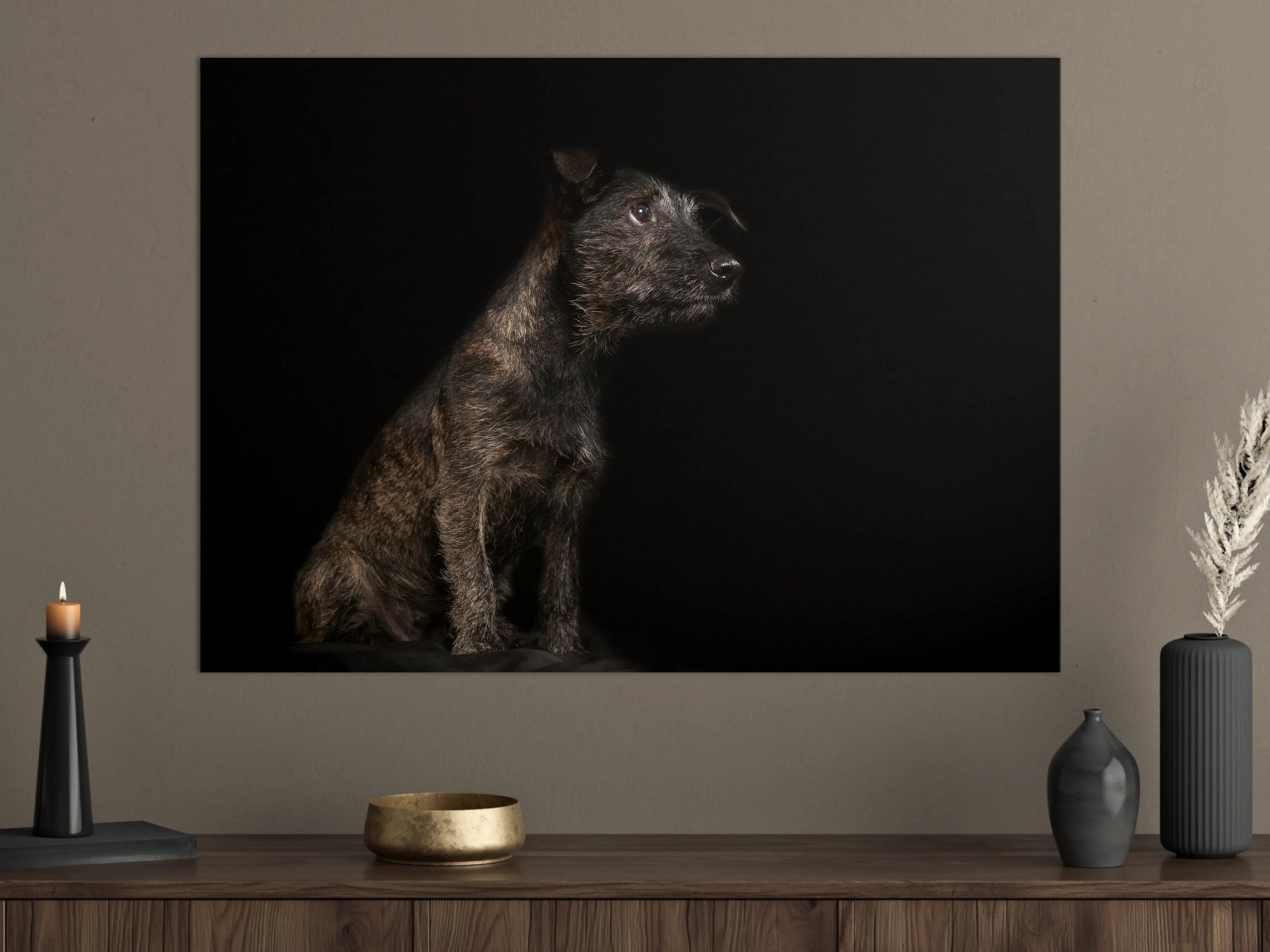 Große Wandbilder - Dunkler Cairn Terrier Hund