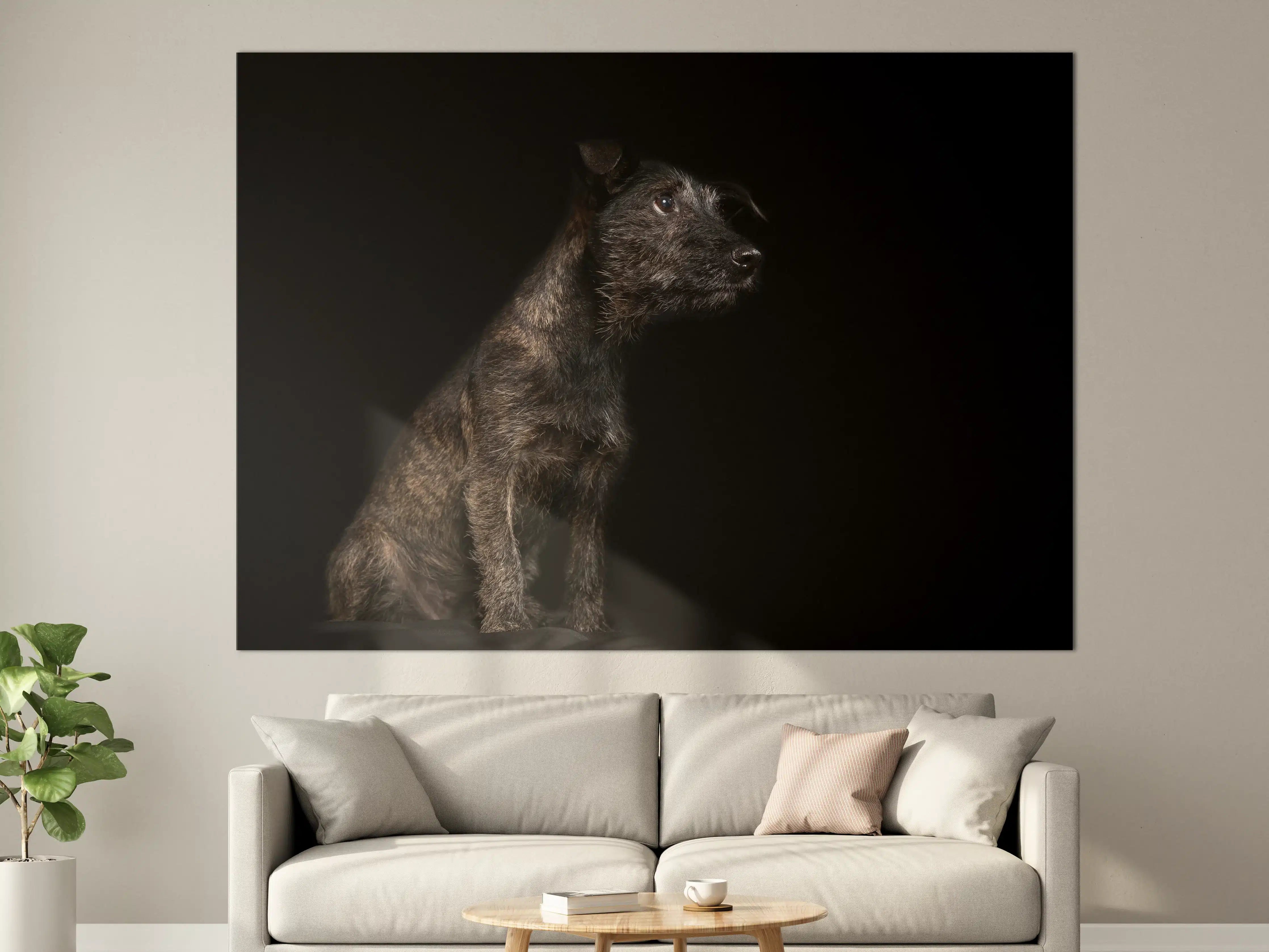 Große Wandbilder - Dunkler Cairn Terrier Hund