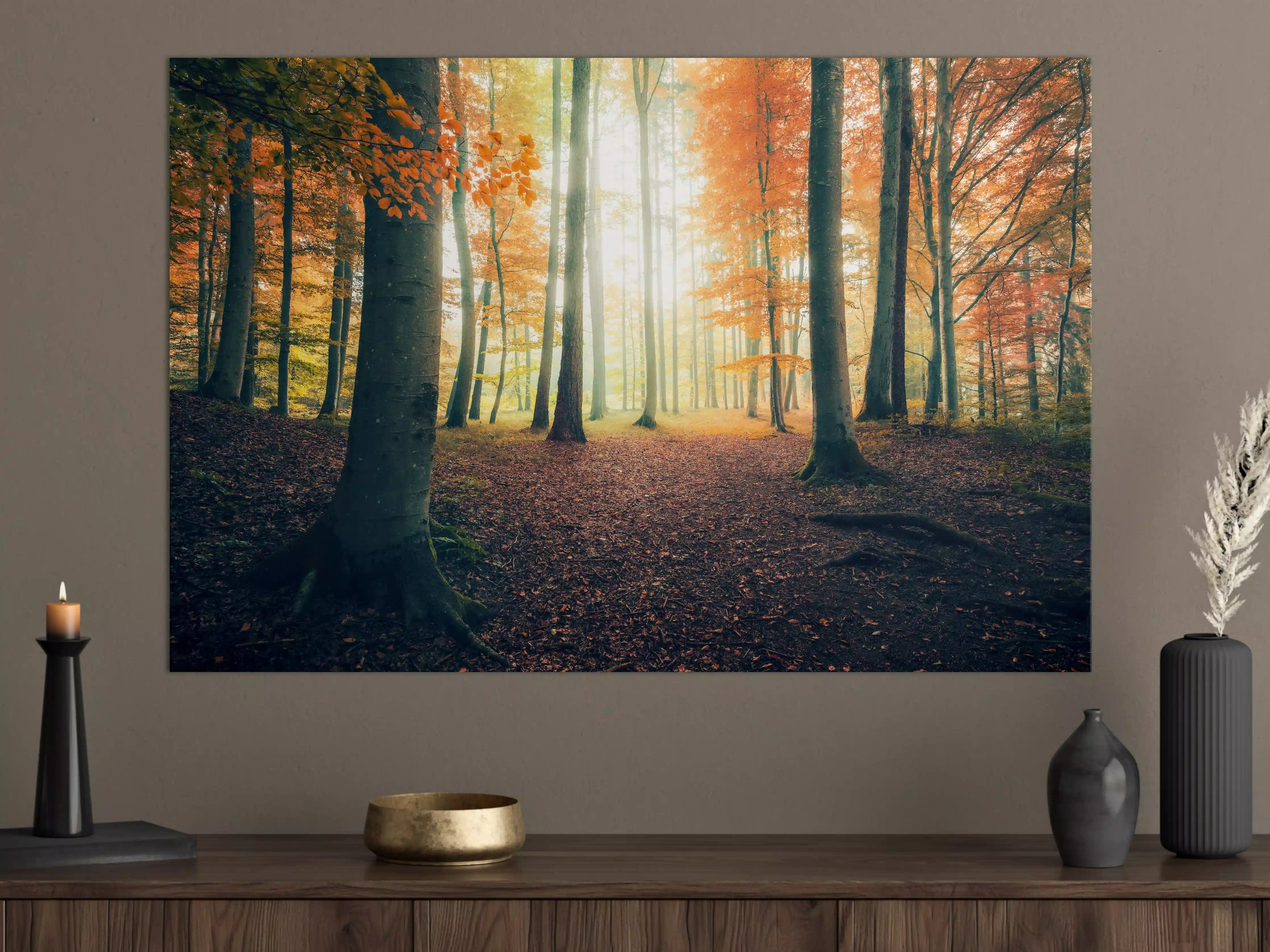 Große Wandbilder - Dunkler Wald im Herbst