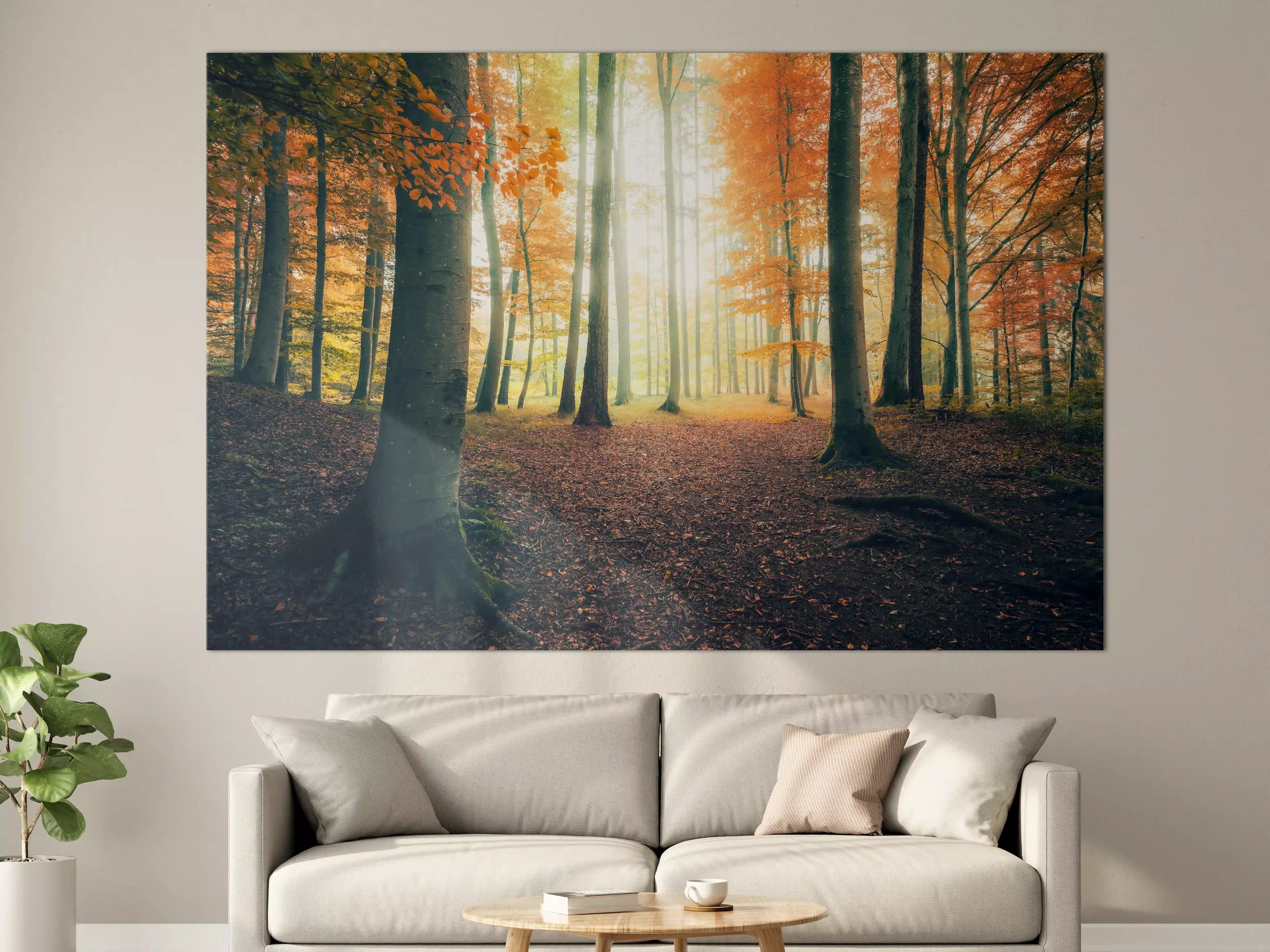 Große Wandbilder - Dunkler Wald im Herbst