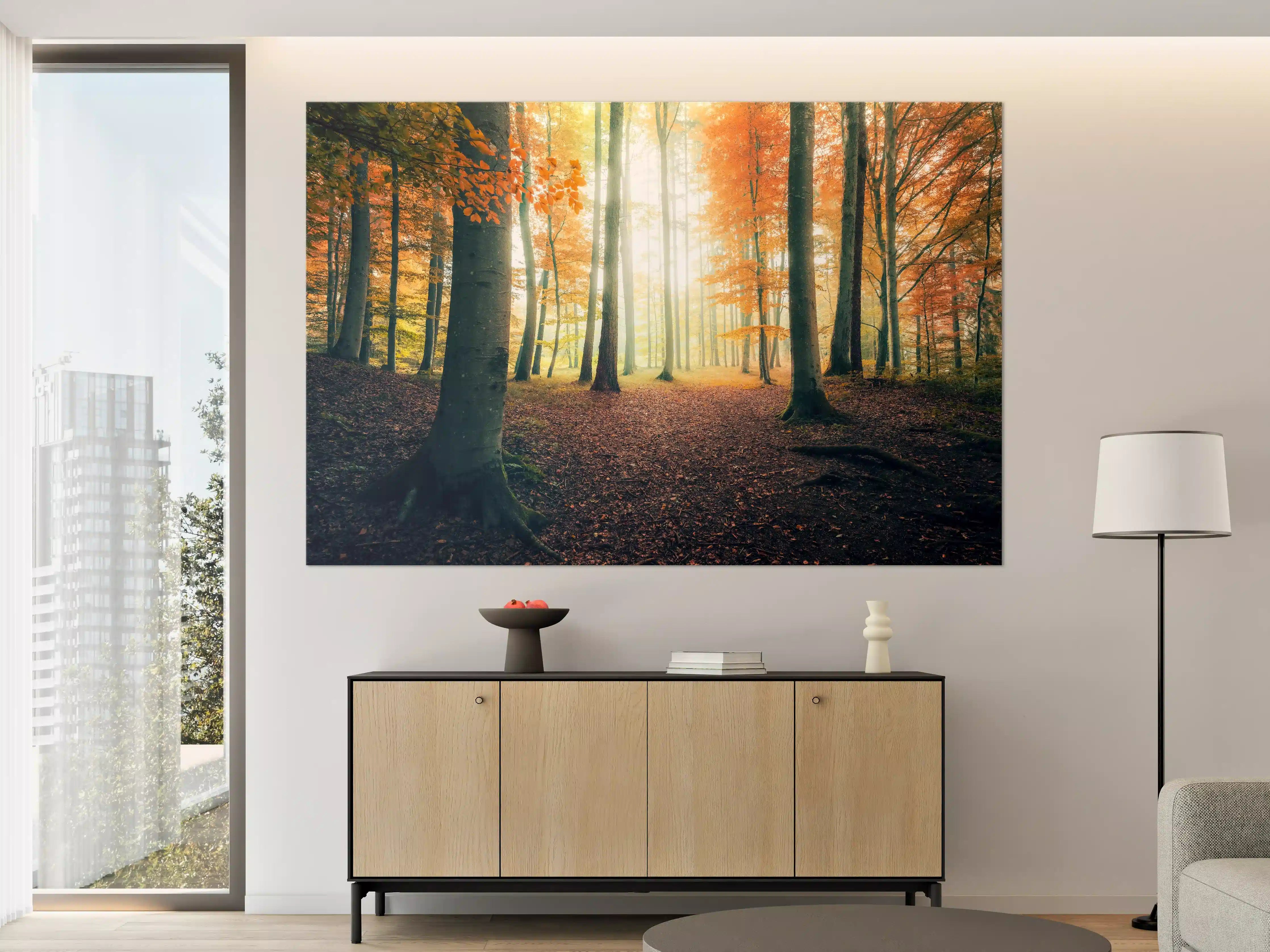 Große Wandbilder - Dunkler Wald im Herbst