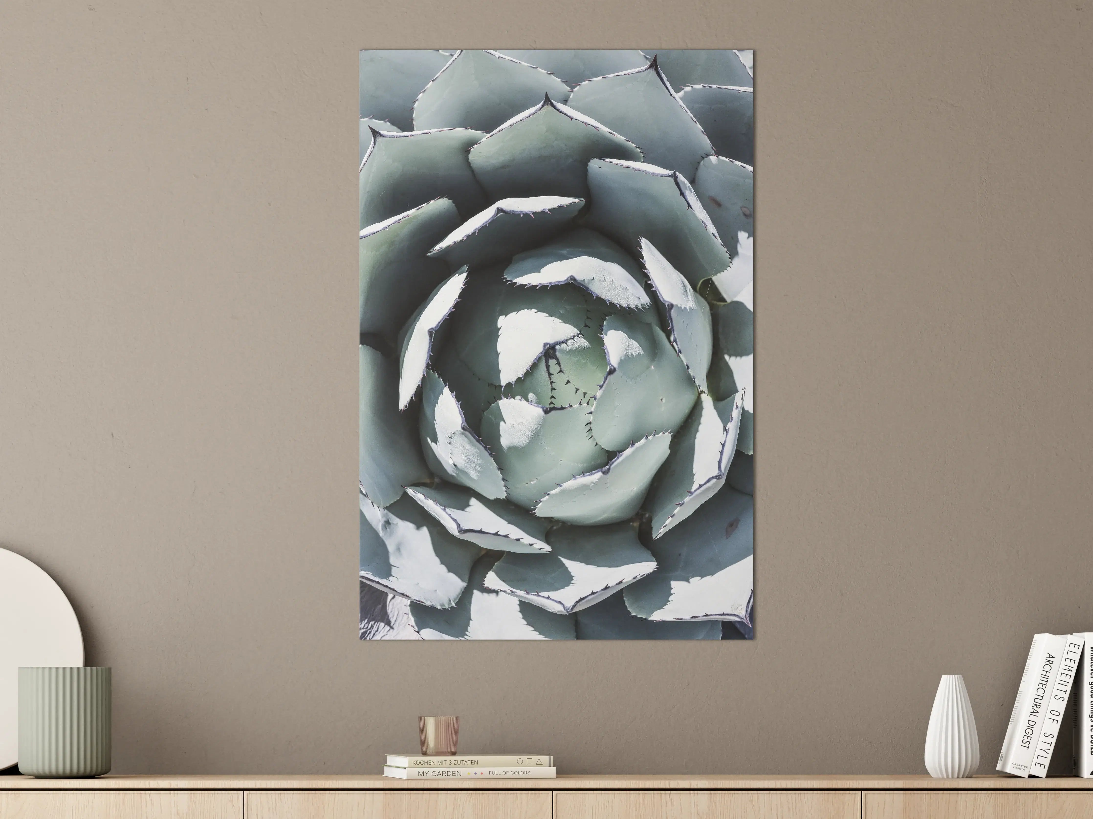 Große Wandbilder - Eindrucksvoller Blick auf eine Echeveria-Pflanze