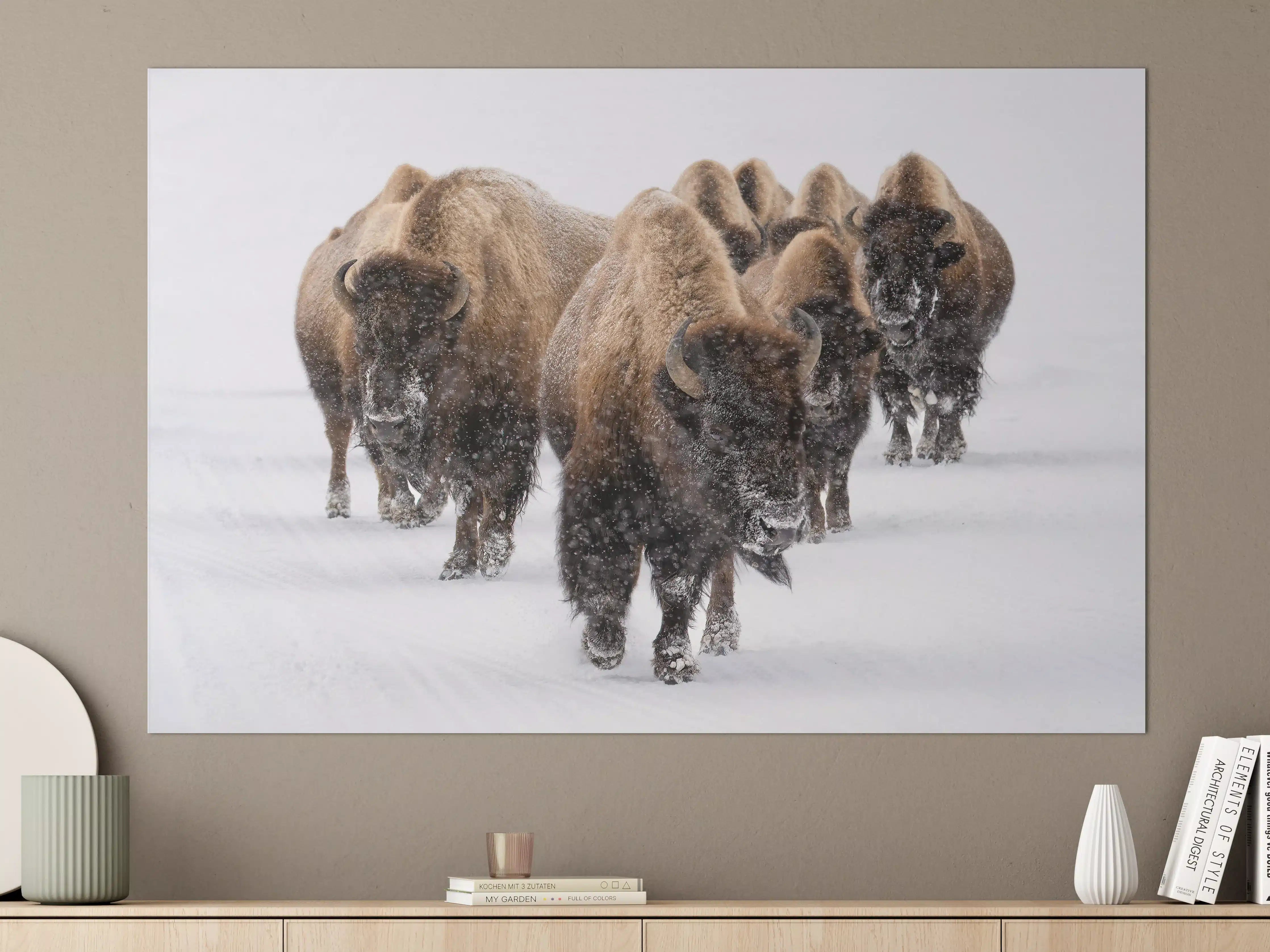 Große Wandbilder - Eine Bison Herde