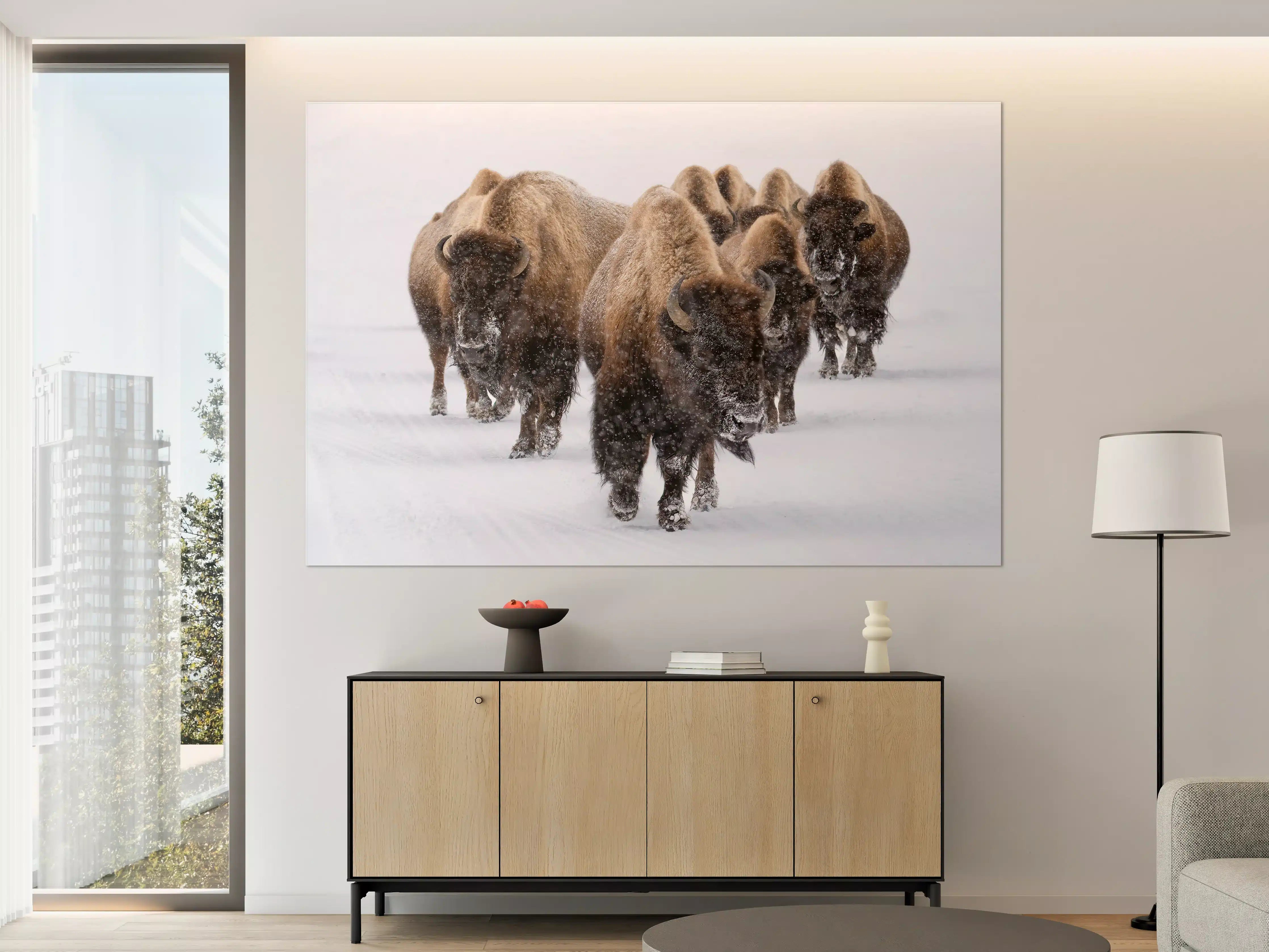Große Wandbilder - Eine Bison Herde